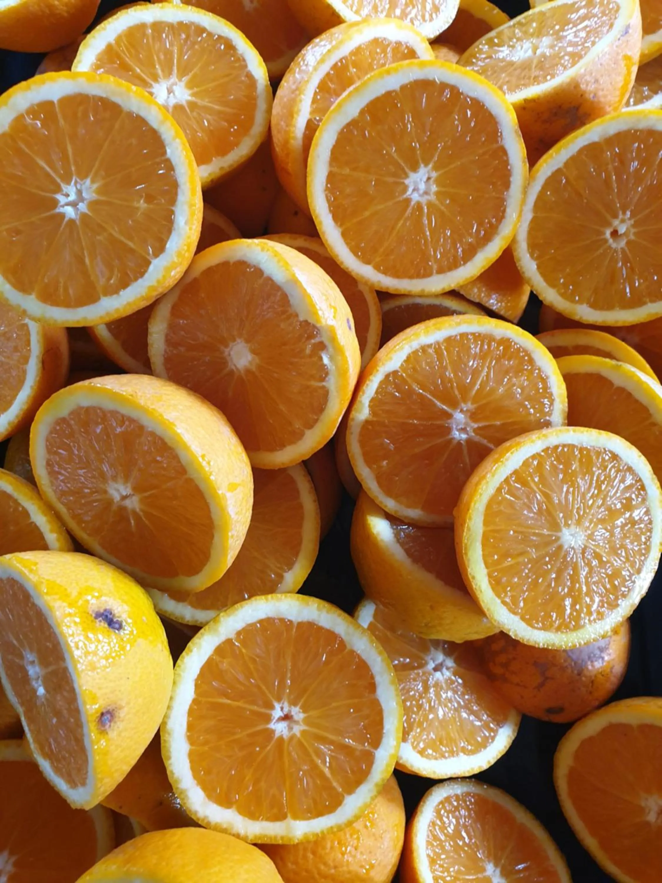 Food and drinks in Rosedale Organic Farm Bed & Breakfast