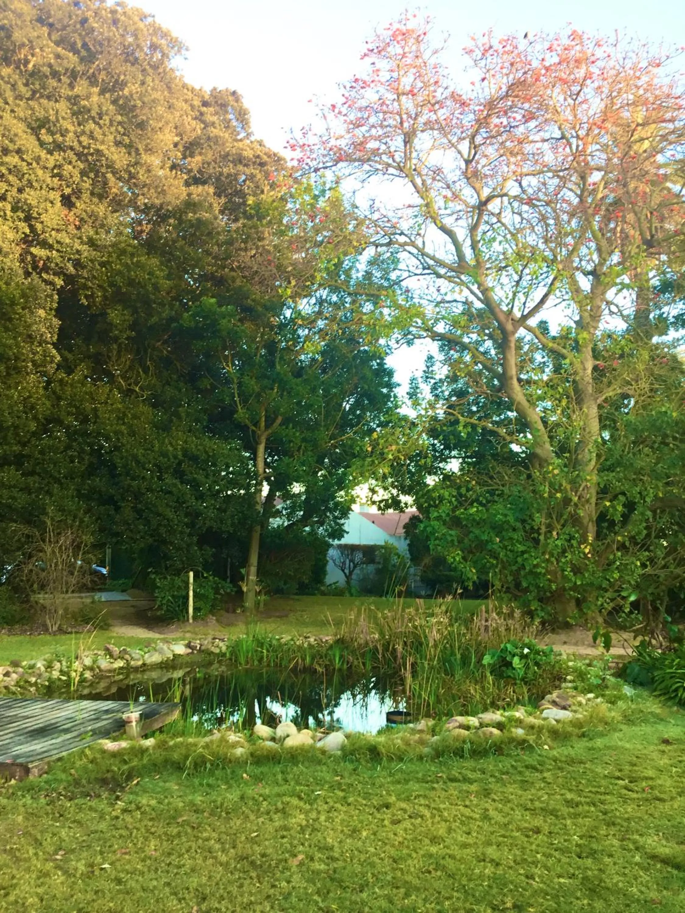 Garden in Rosedale Organic Farm Bed & Breakfast