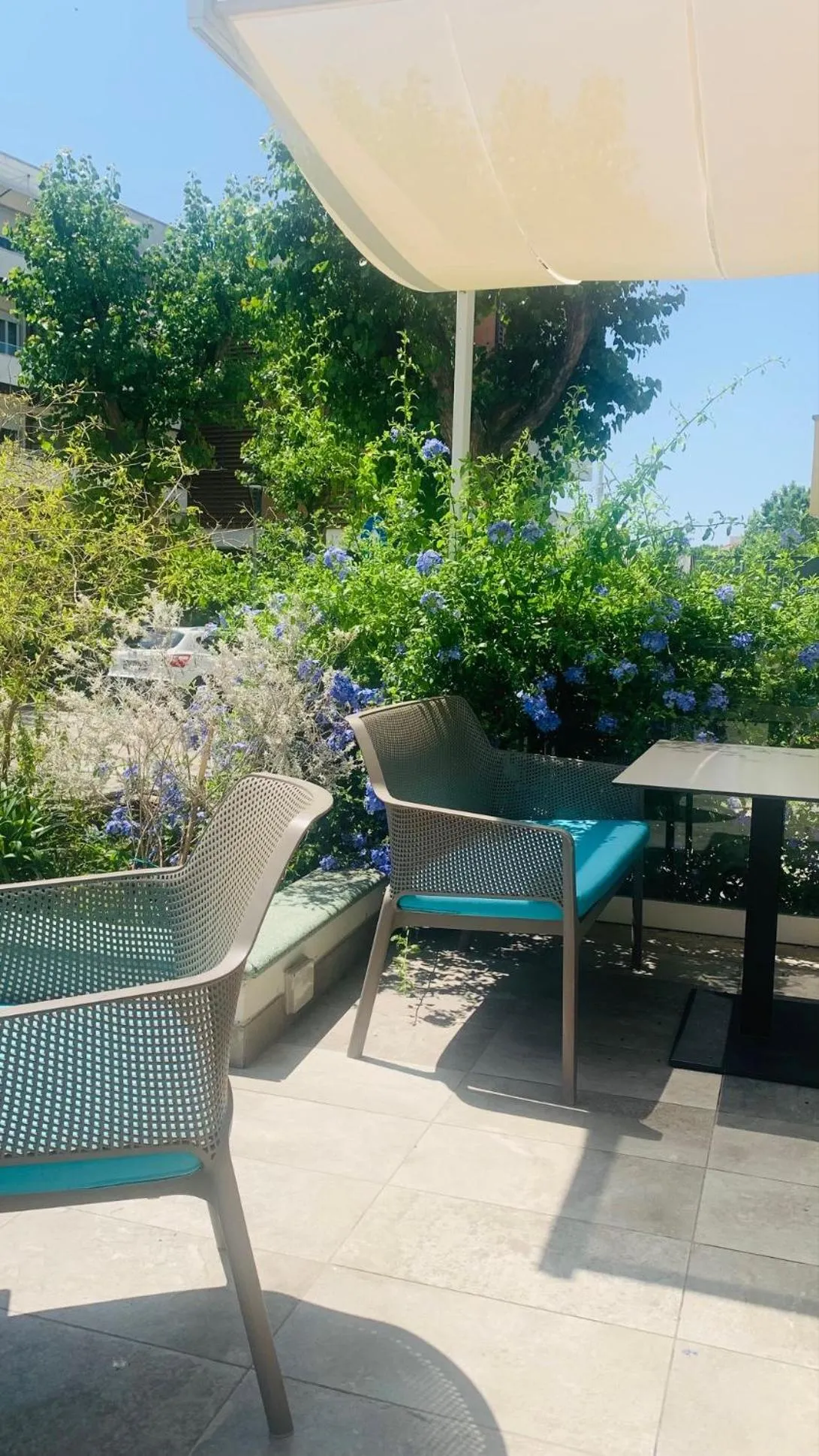 Breakfast in Hotel Majestic