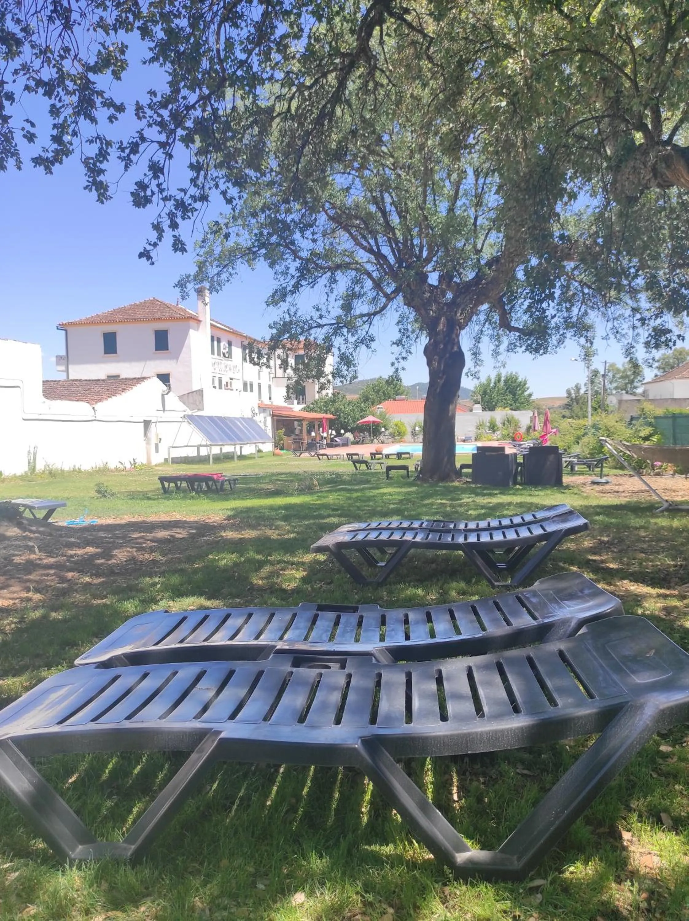 Garden in Hotel Boavista - Vintage House