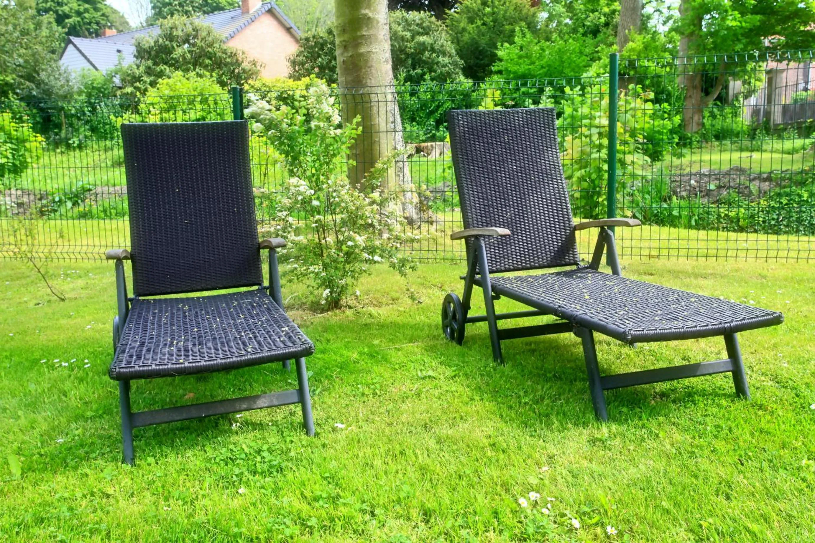 Day in Château de Moulin-le-Comte