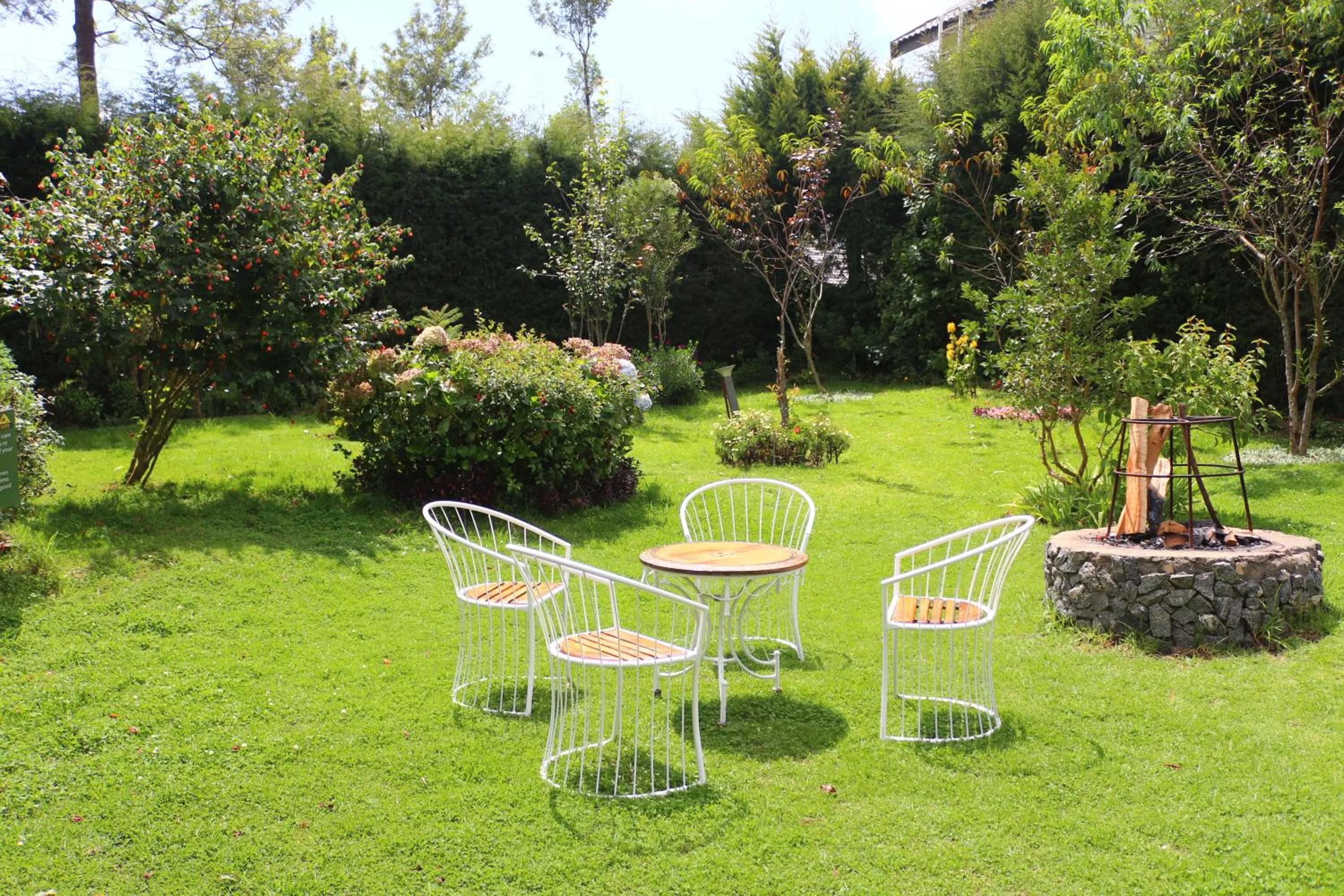 Garden in Logan Camp Ooty