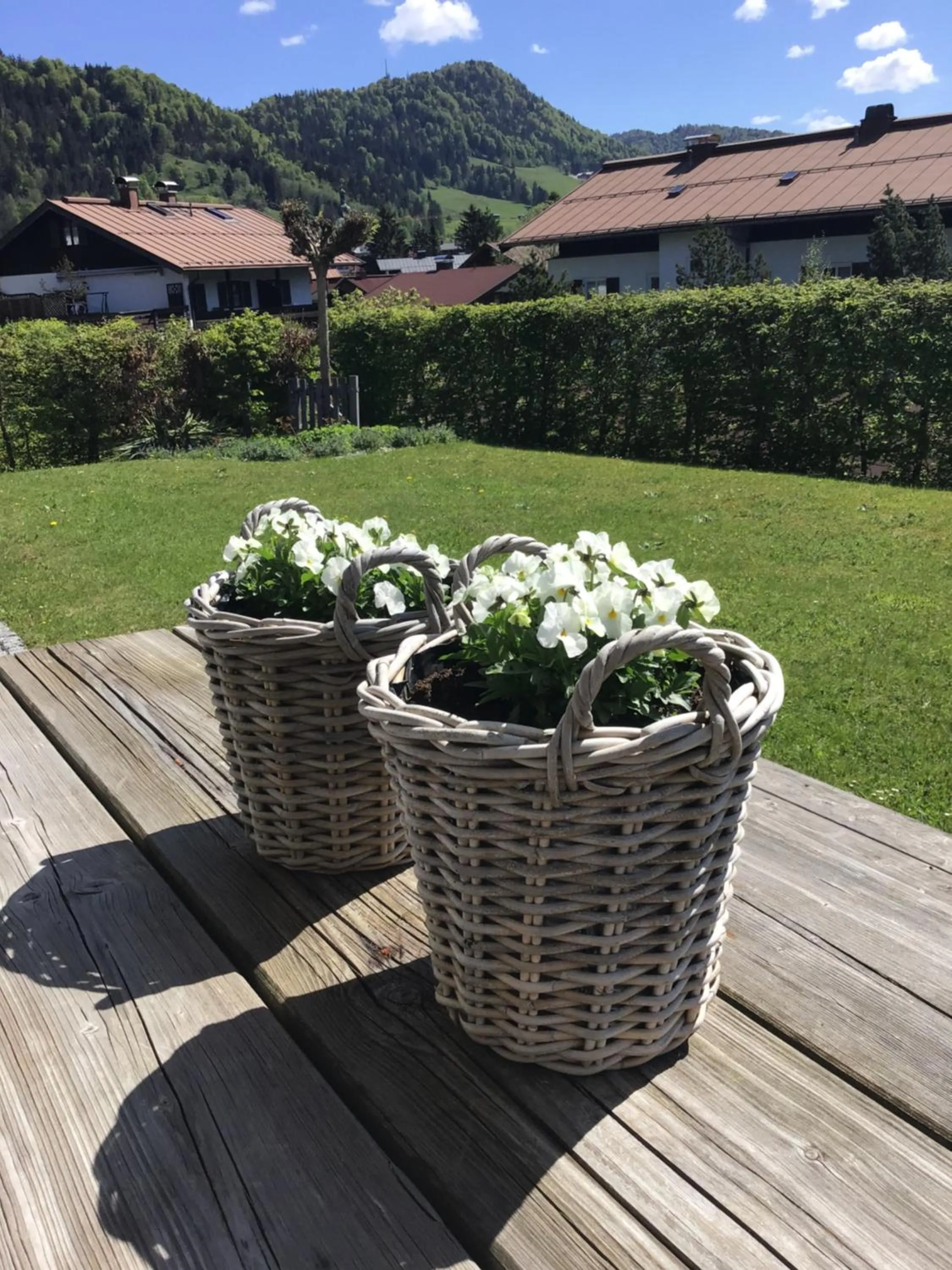 Das Ruebezahl