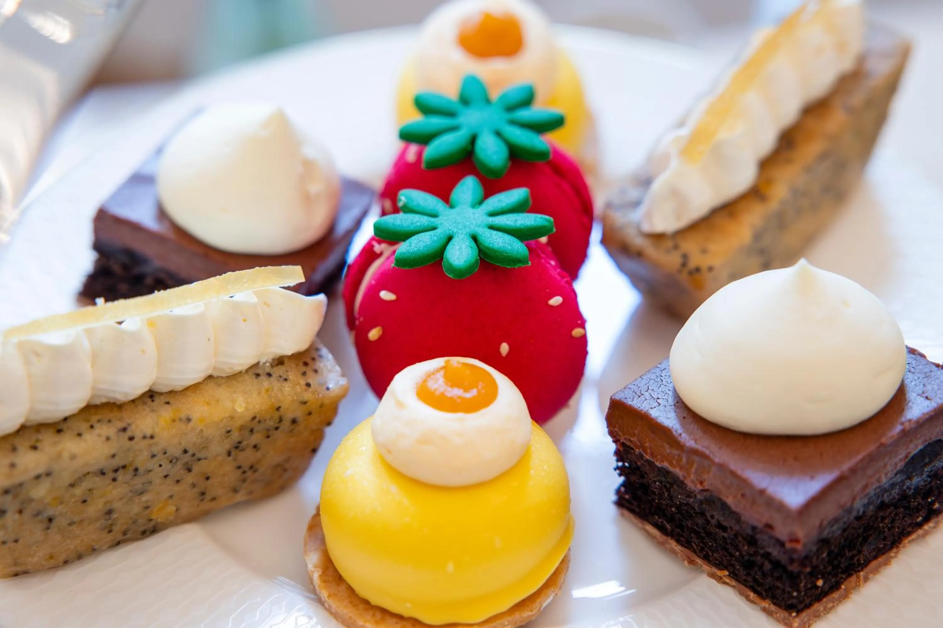 Food and drinks in The Adria