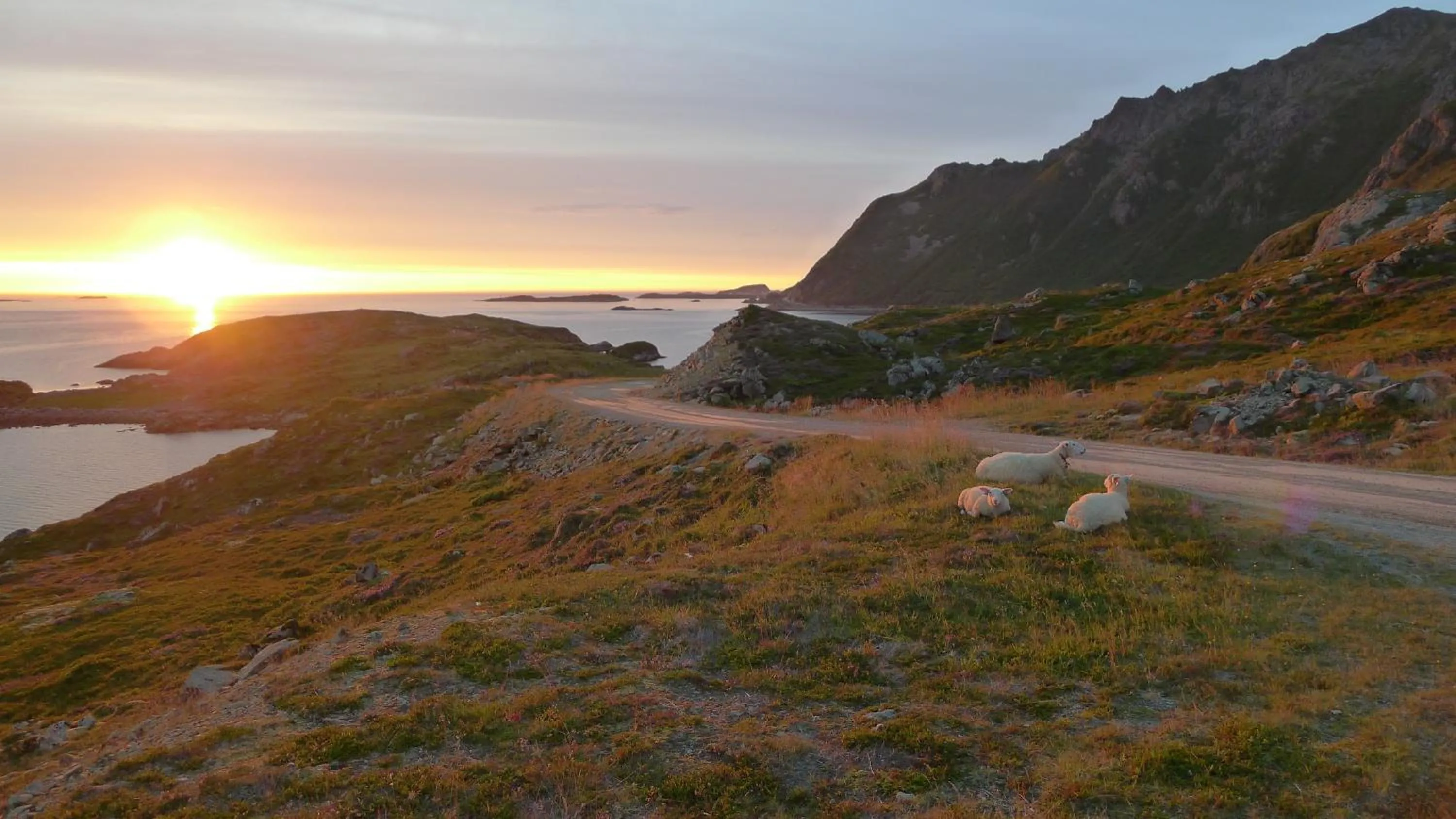 Natural landscape in NyksundRom, Nyksund