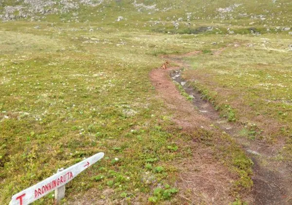 Natural landscape in NyksundRom, Nyksund