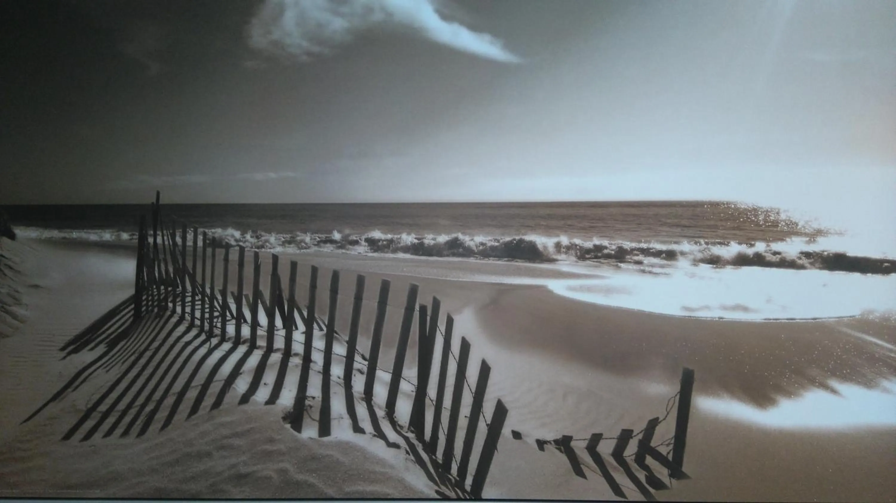 Decorative detail in Driftwood B&B Weymouth