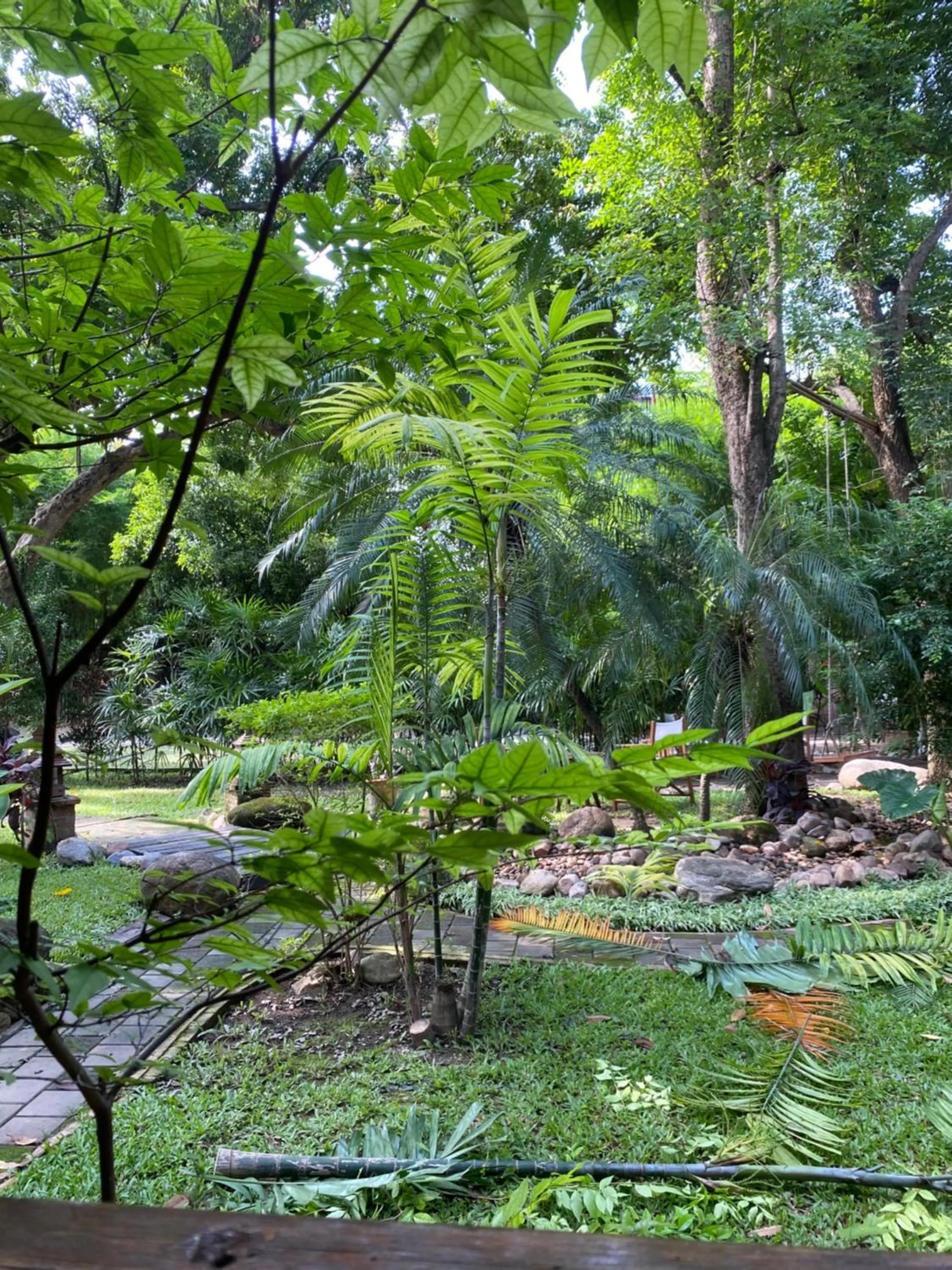 Natural landscape in Baan Orapin