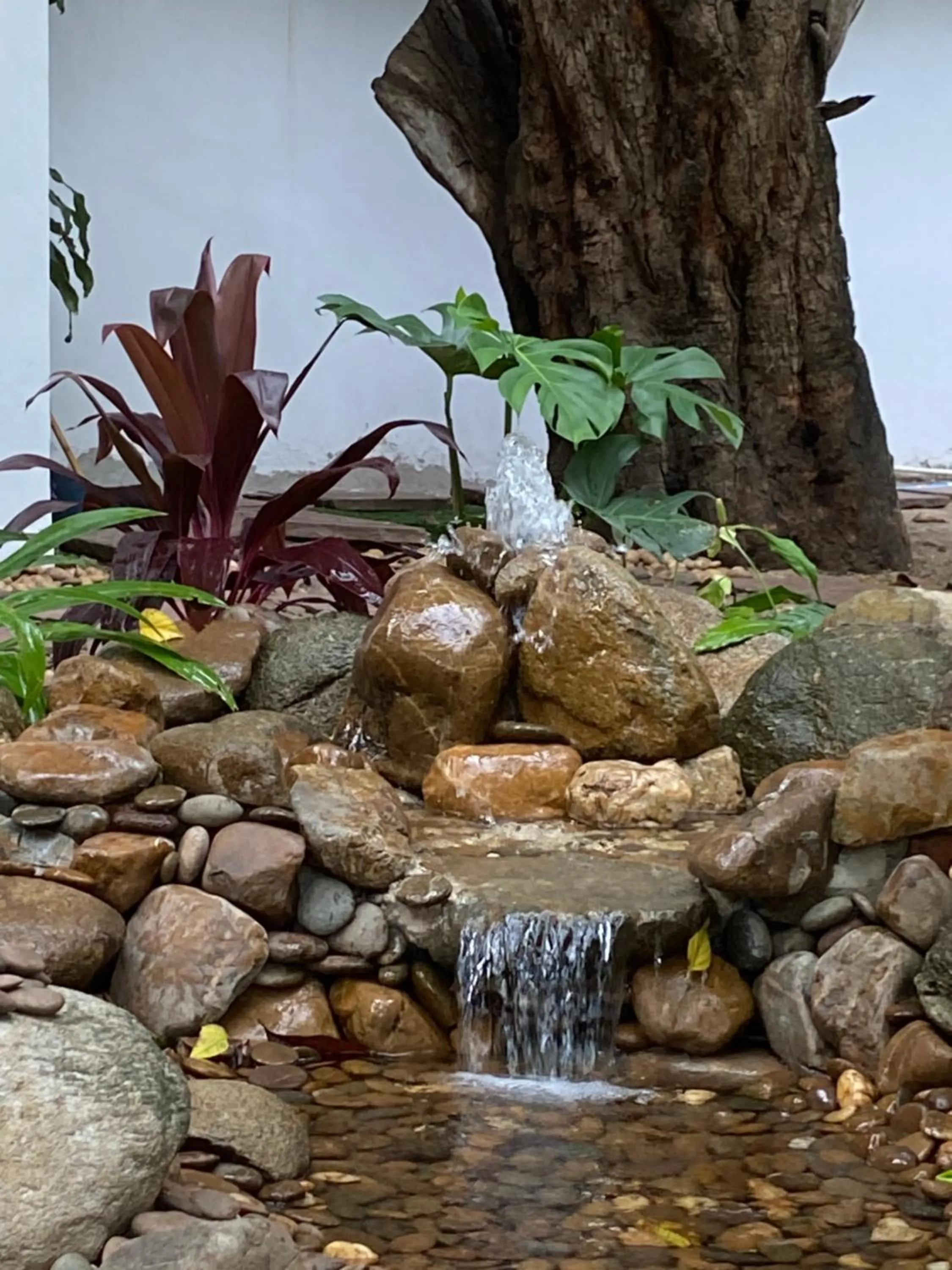 Baan Orapin