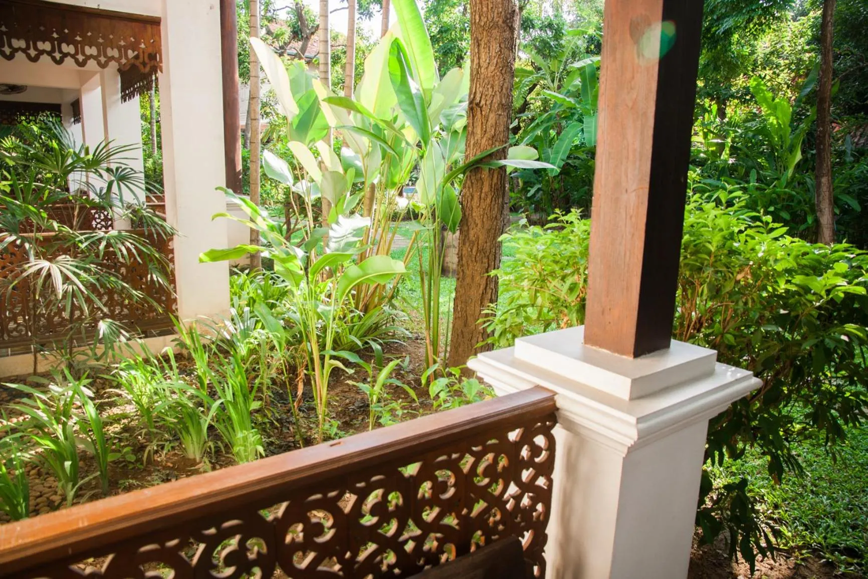 Garden view in Baan Orapin