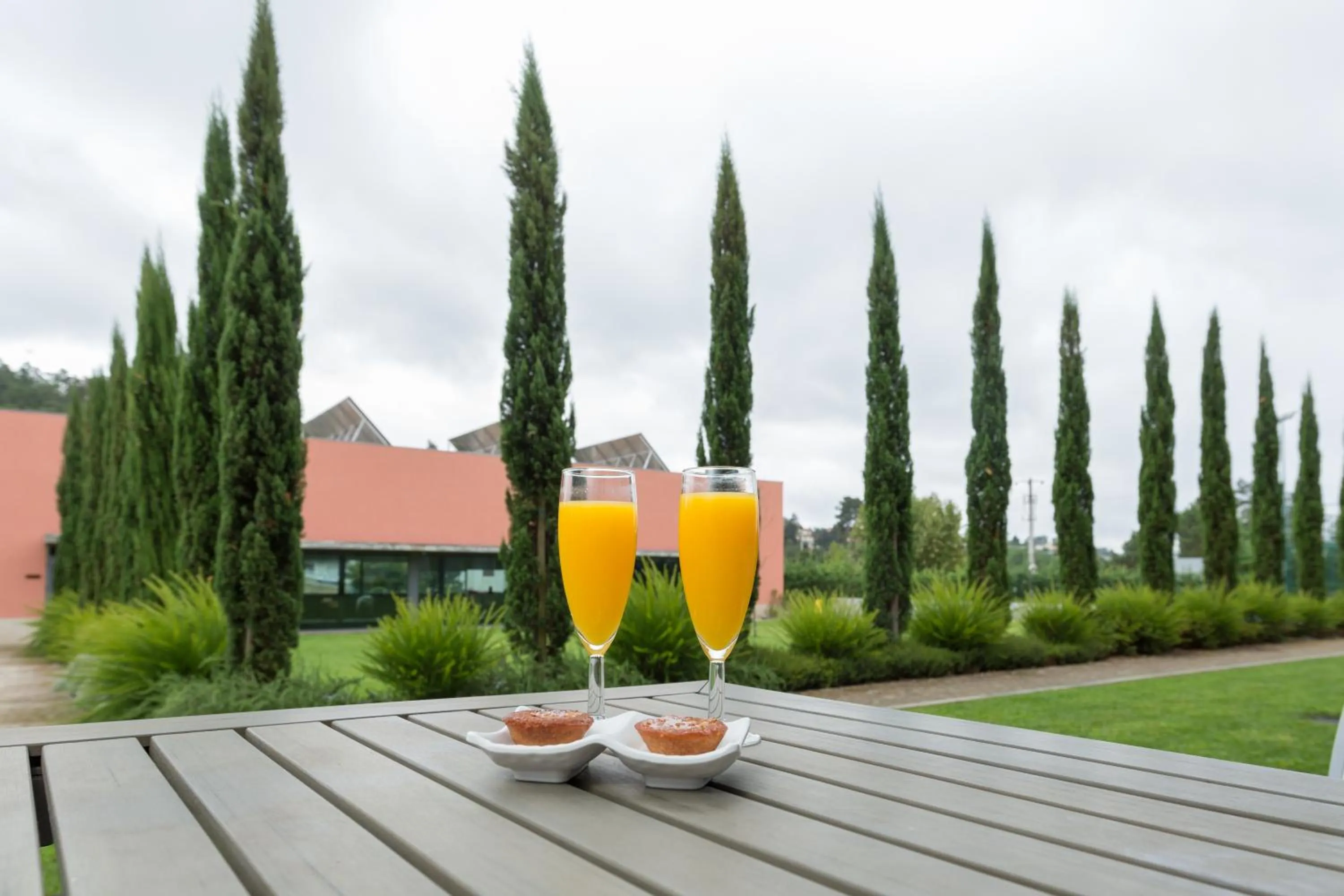 Patio in Hotel Quinta da Cruz & SPA