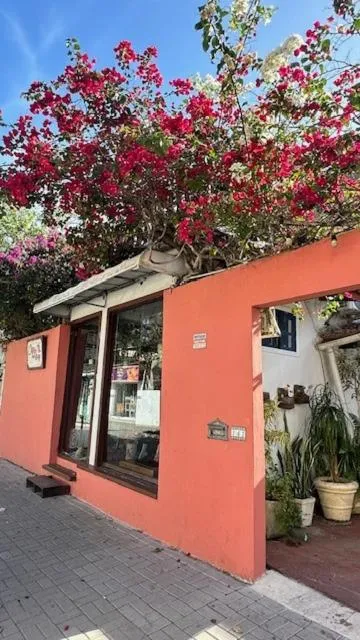Property building in Pousada Casa das Rosas