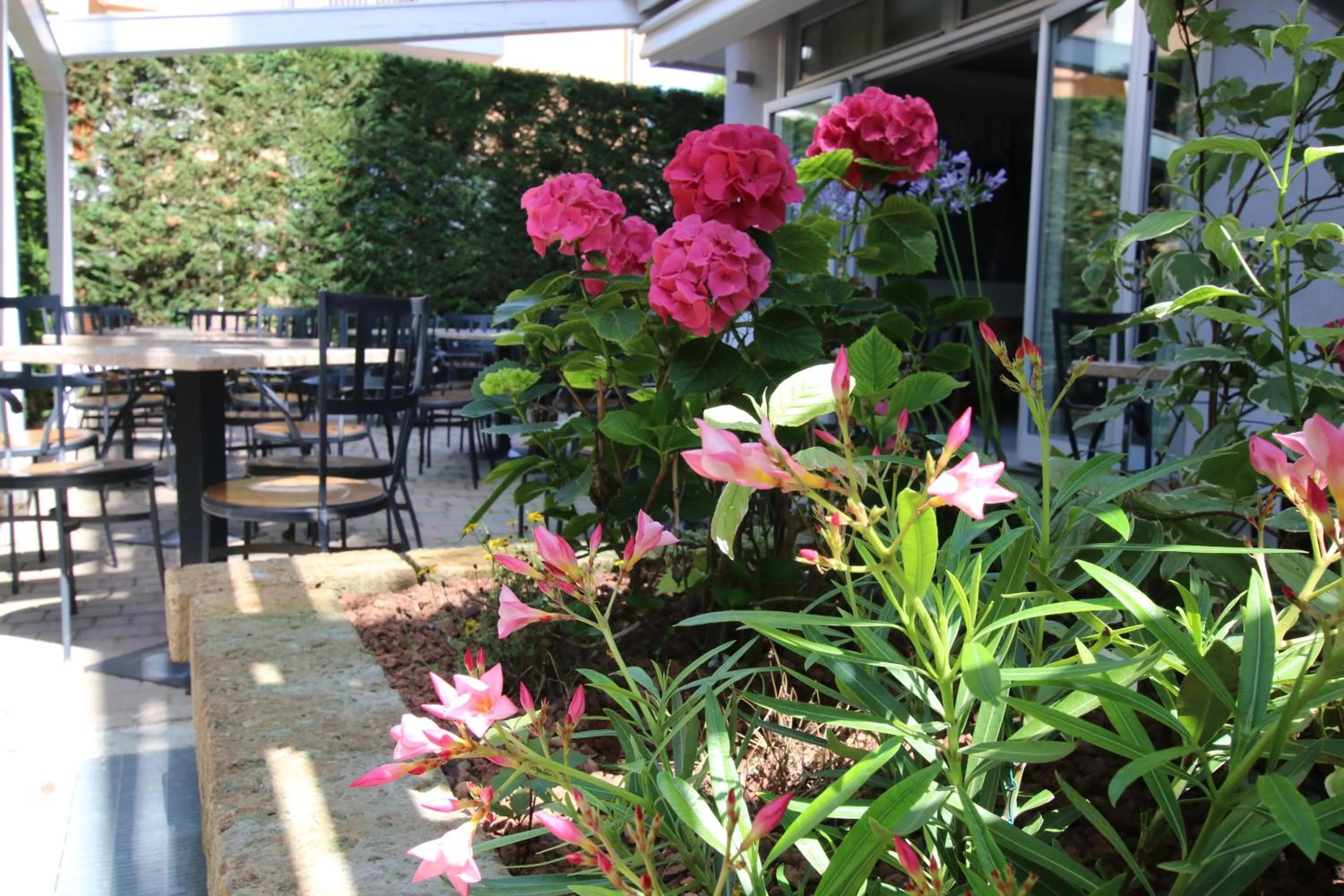 Garden in Eraclea Palace Appartements