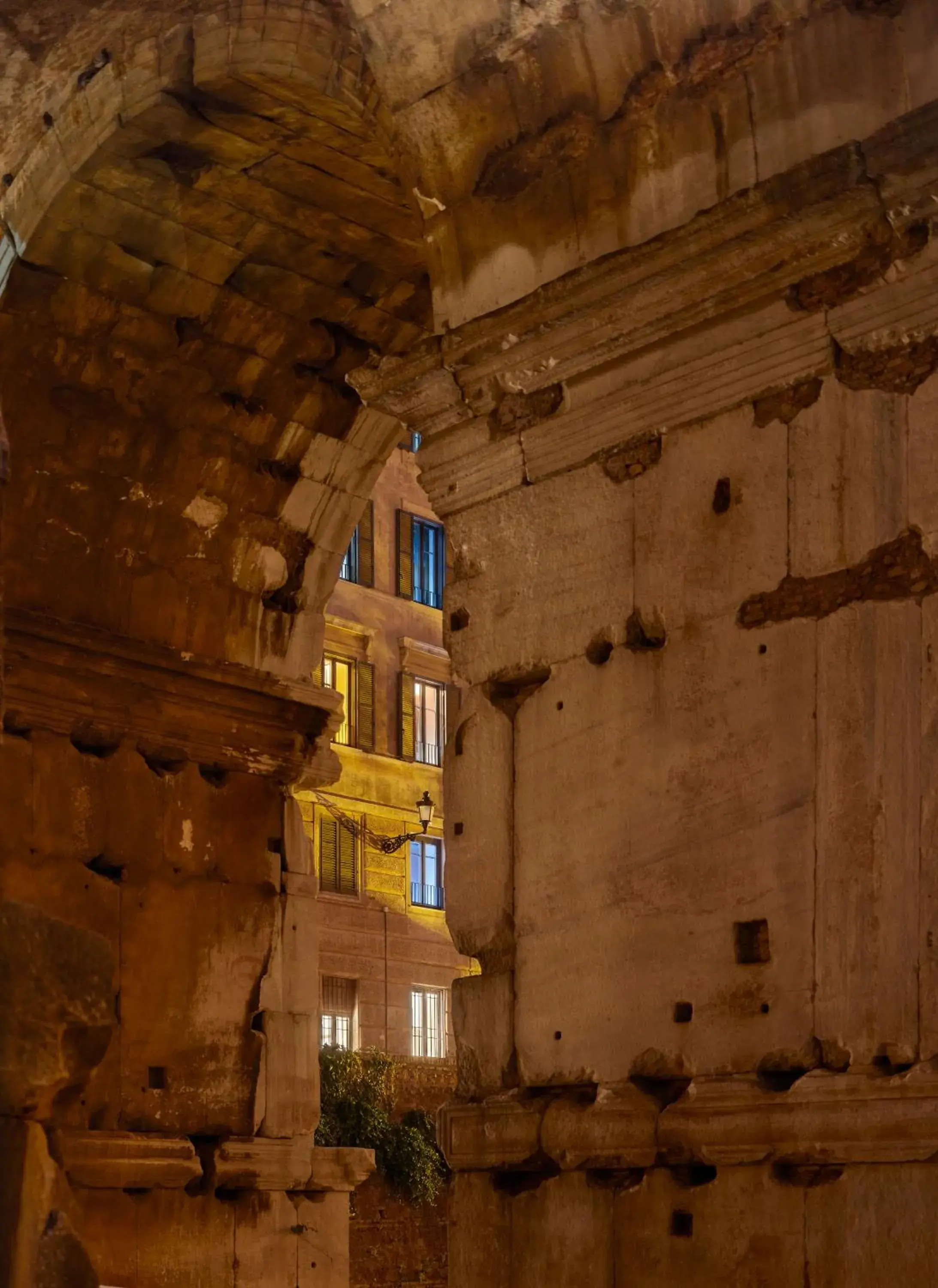 Property building in Rhinoceros Property building in Rhinoceros