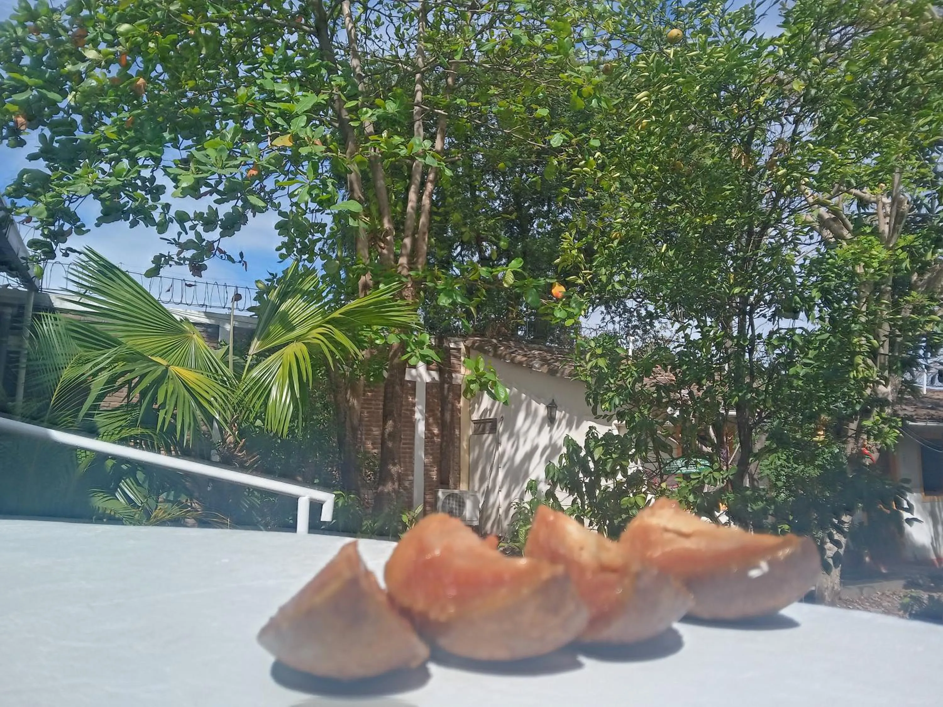 Day in Hotel Casa Barcelona