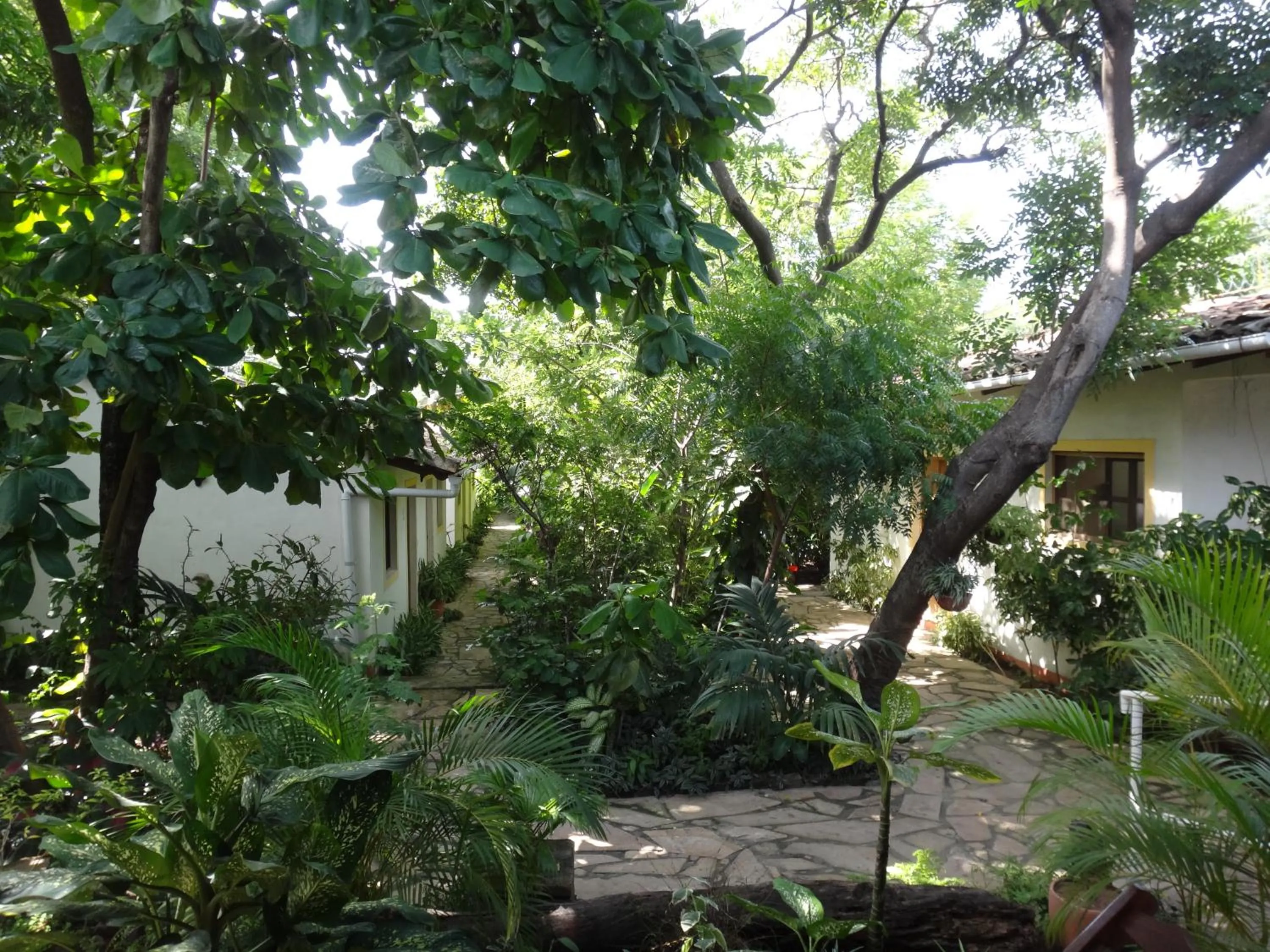 Garden in Hotel Casa Barcelona