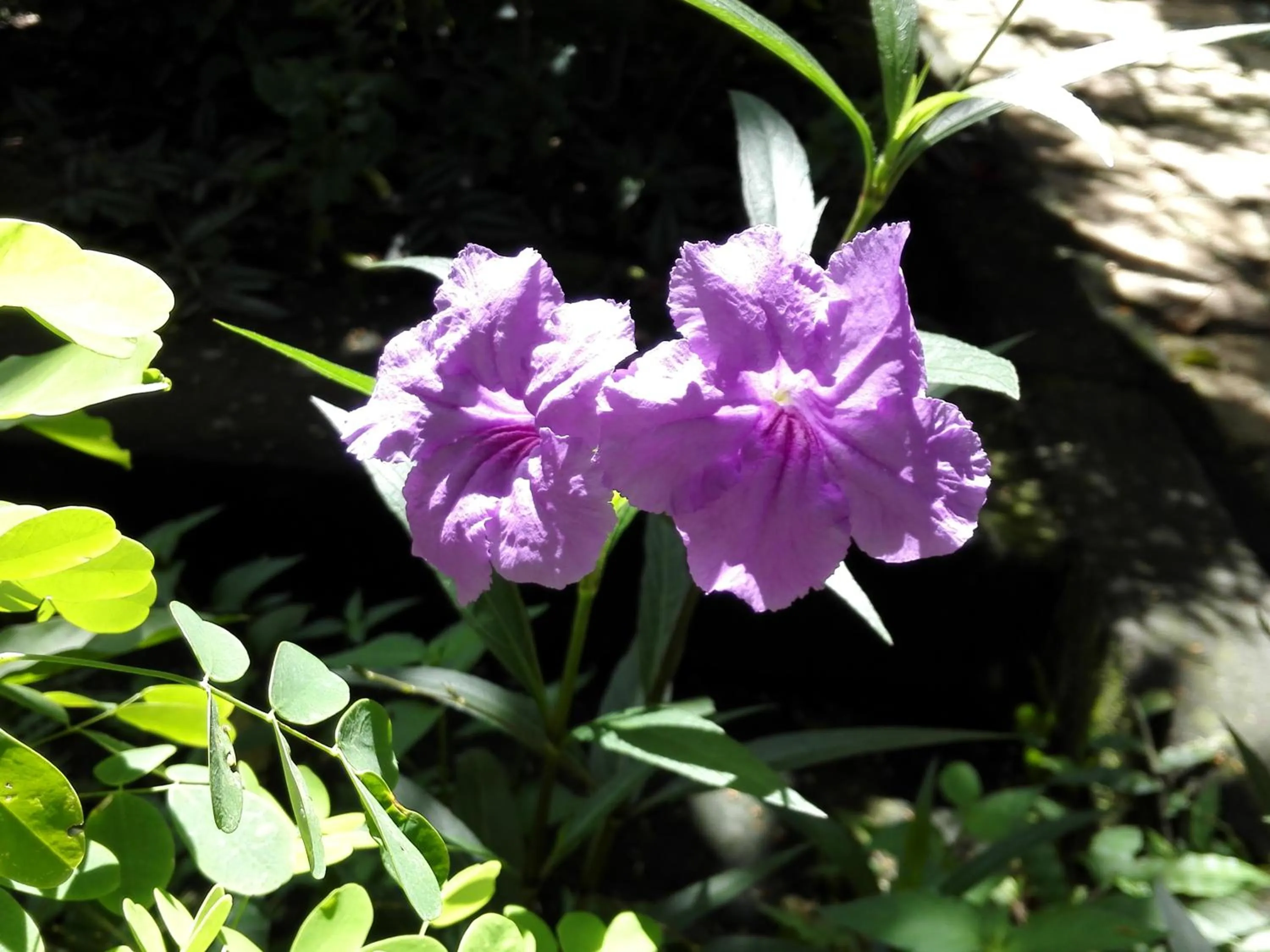 Day in Hotel Casa Barcelona