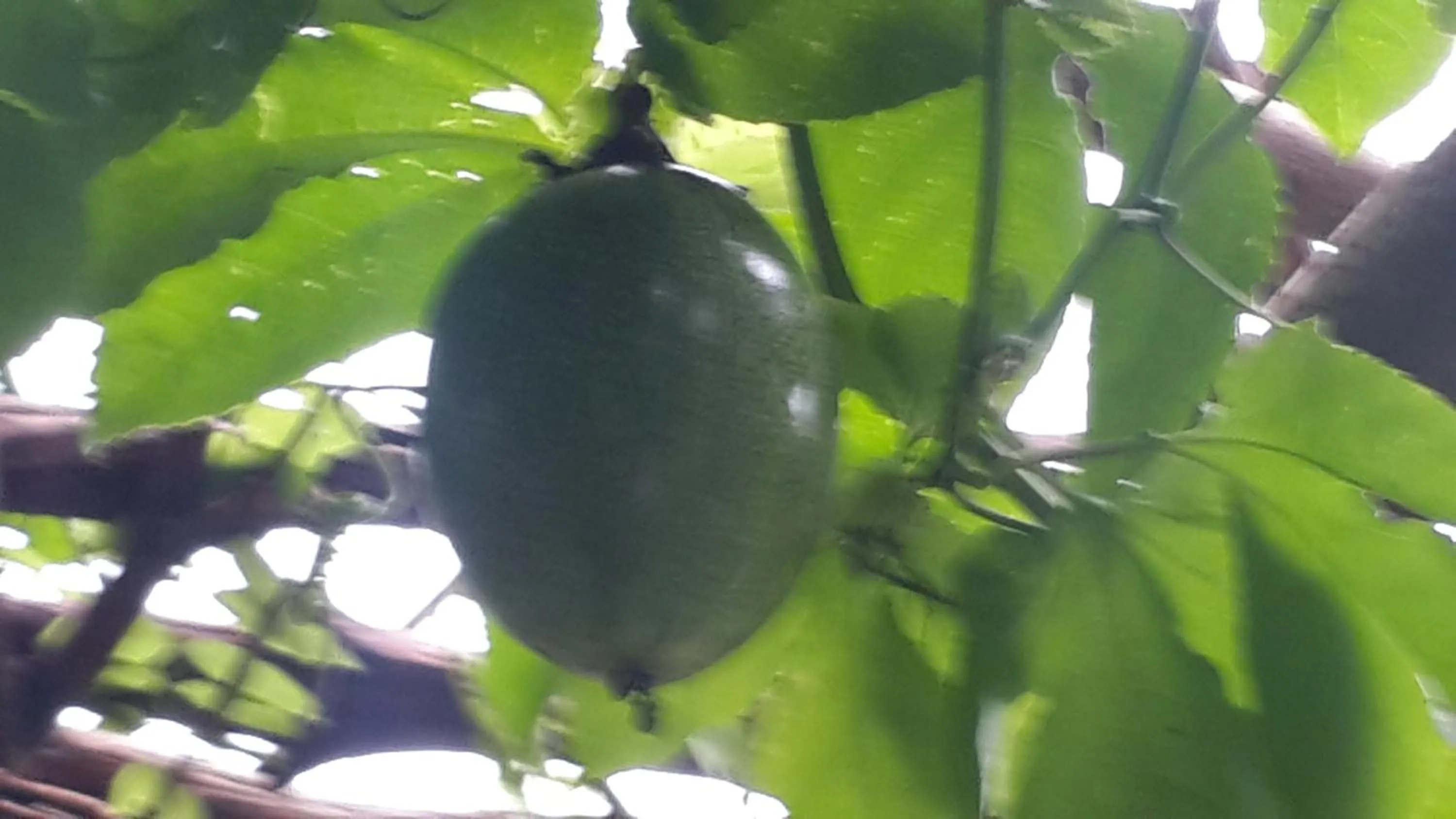 Day in Hotel Casa Barcelona