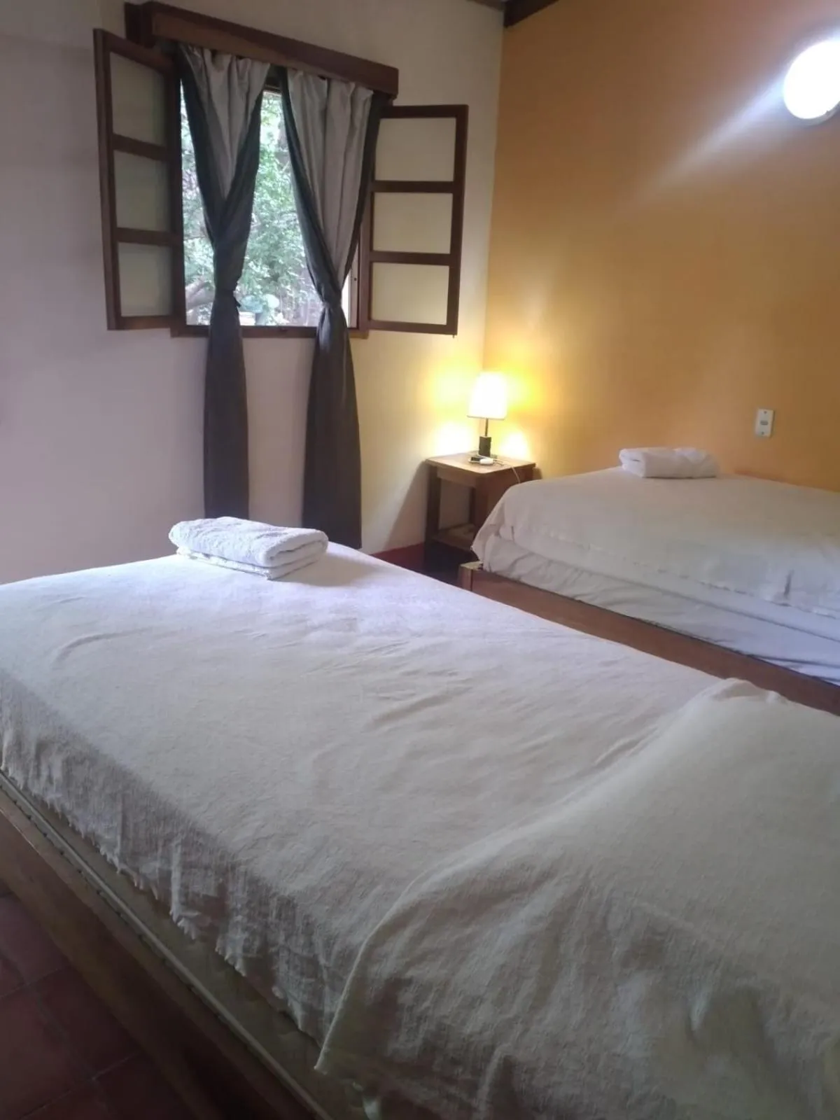 Garden in Hotel Casa Barcelona