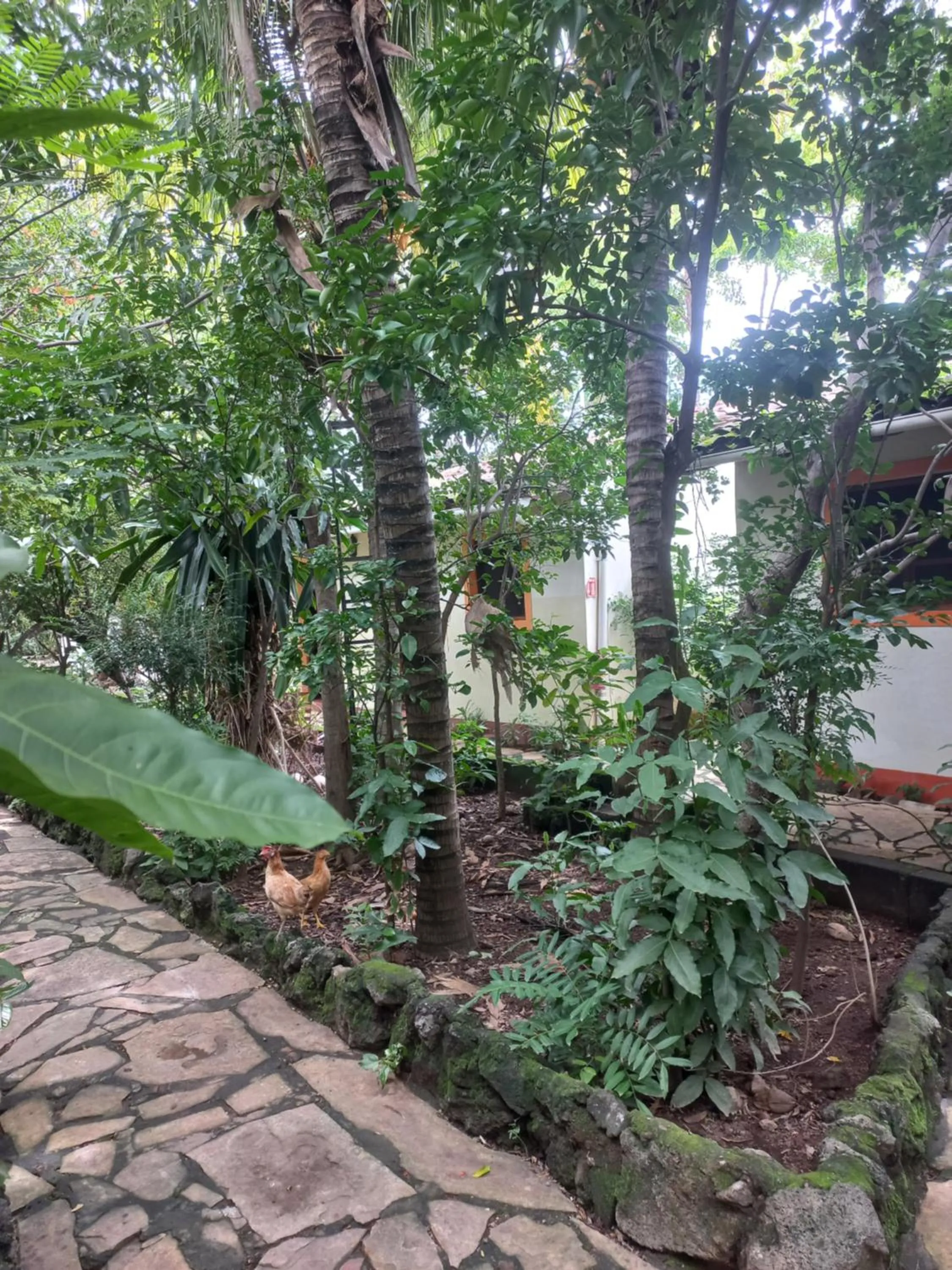 Seating area in Hotel Casa Barcelona