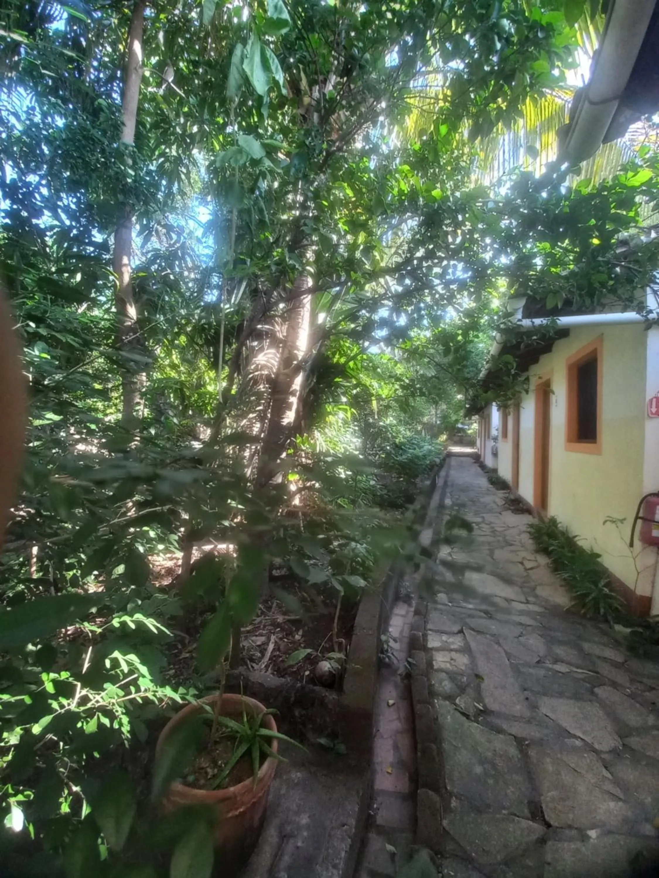 Property building in Hotel Casa Barcelona