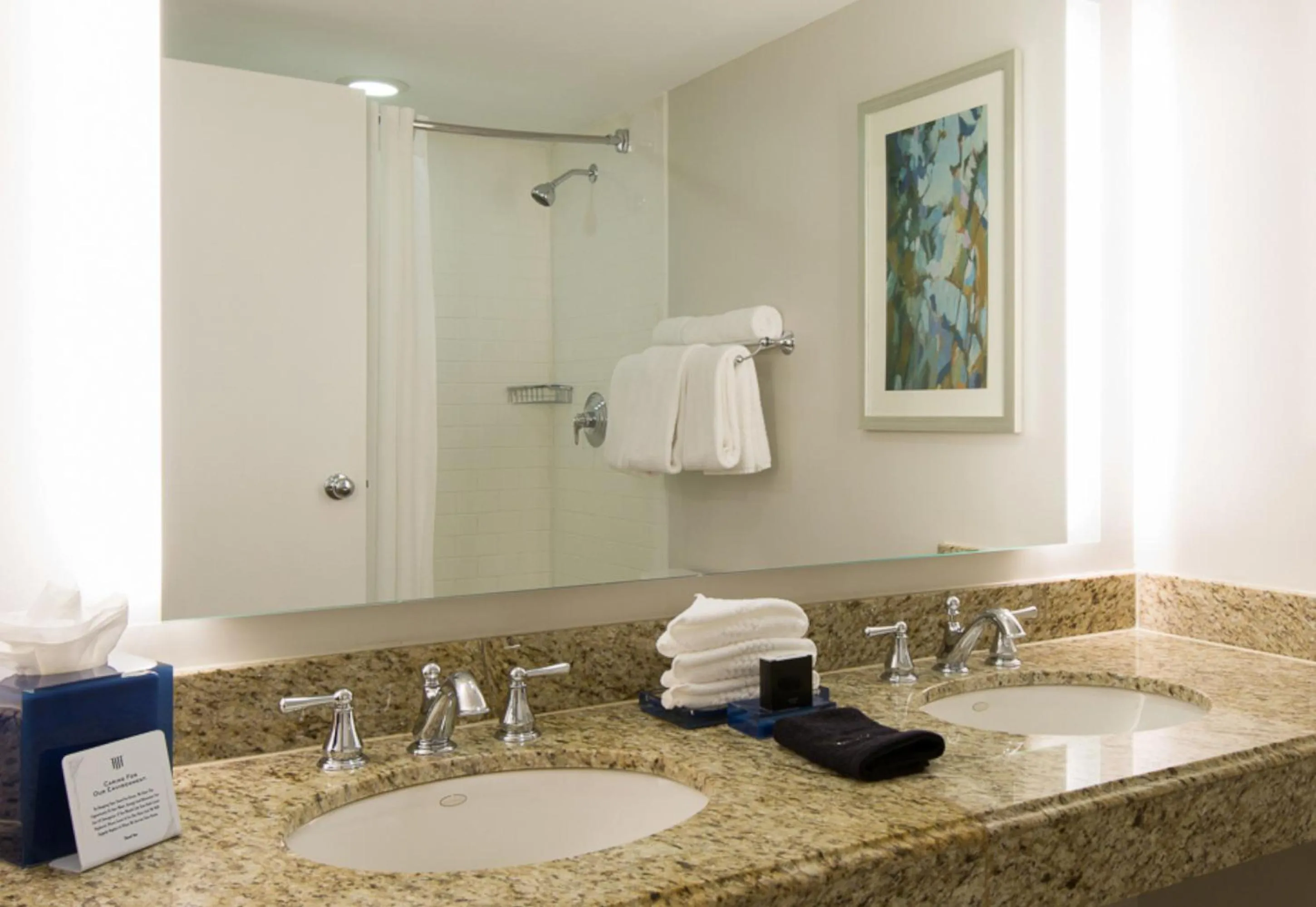 Bathroom in The Read House Hotel