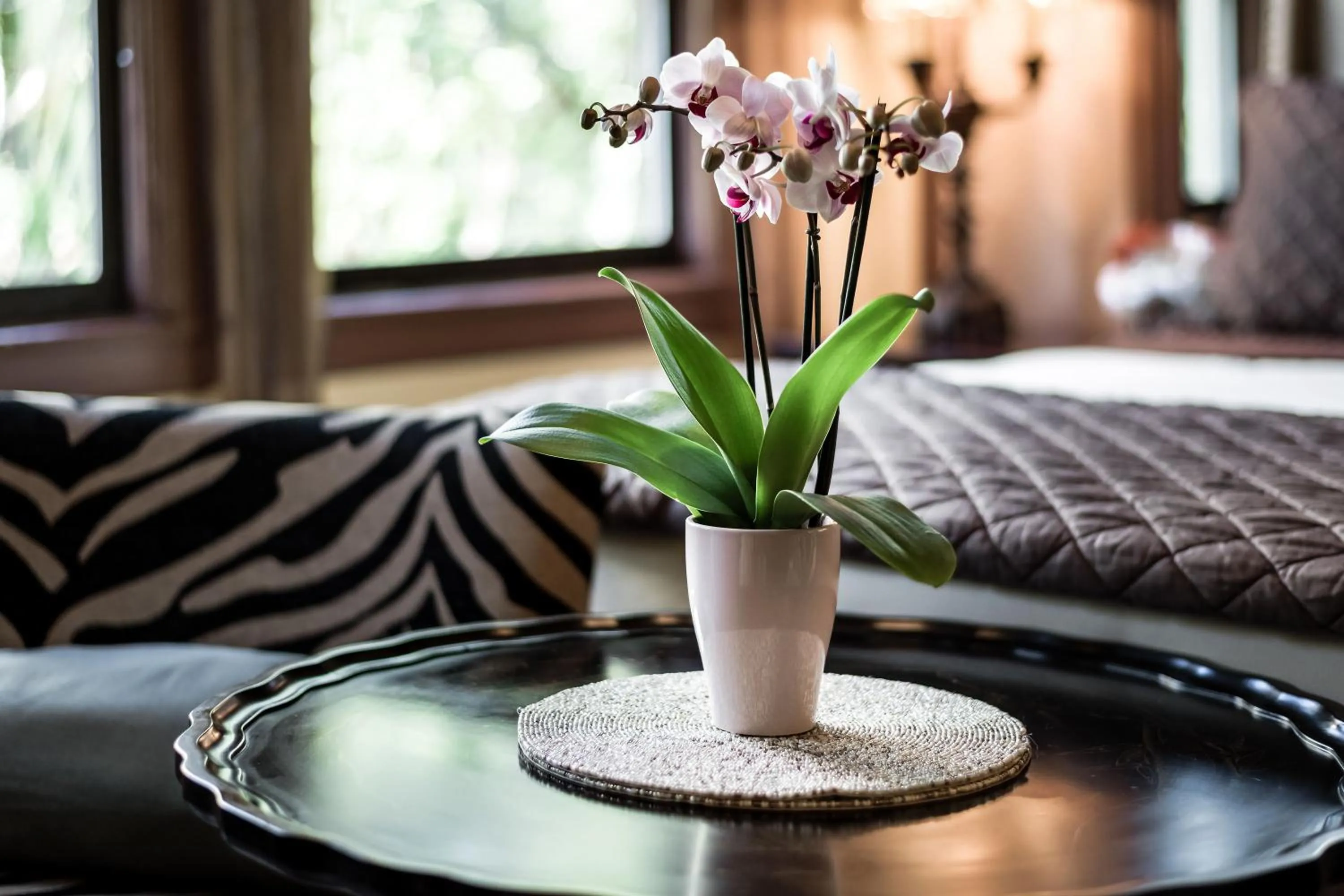 Decorative detail, Bed in Hemingway Suites at Palm Beach Hotel Island