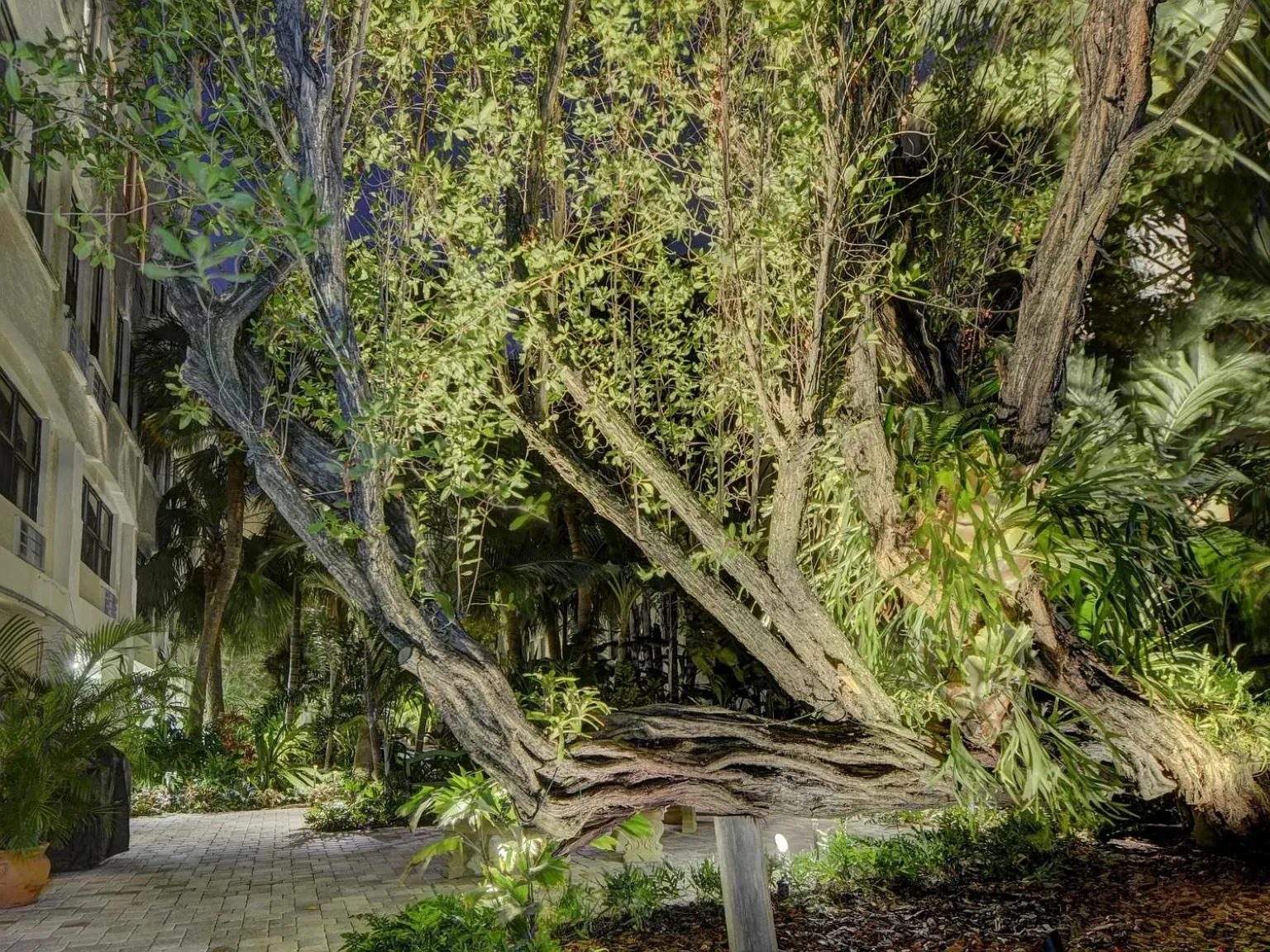 Night in Hemingway Suites at Palm Beach Hotel Island