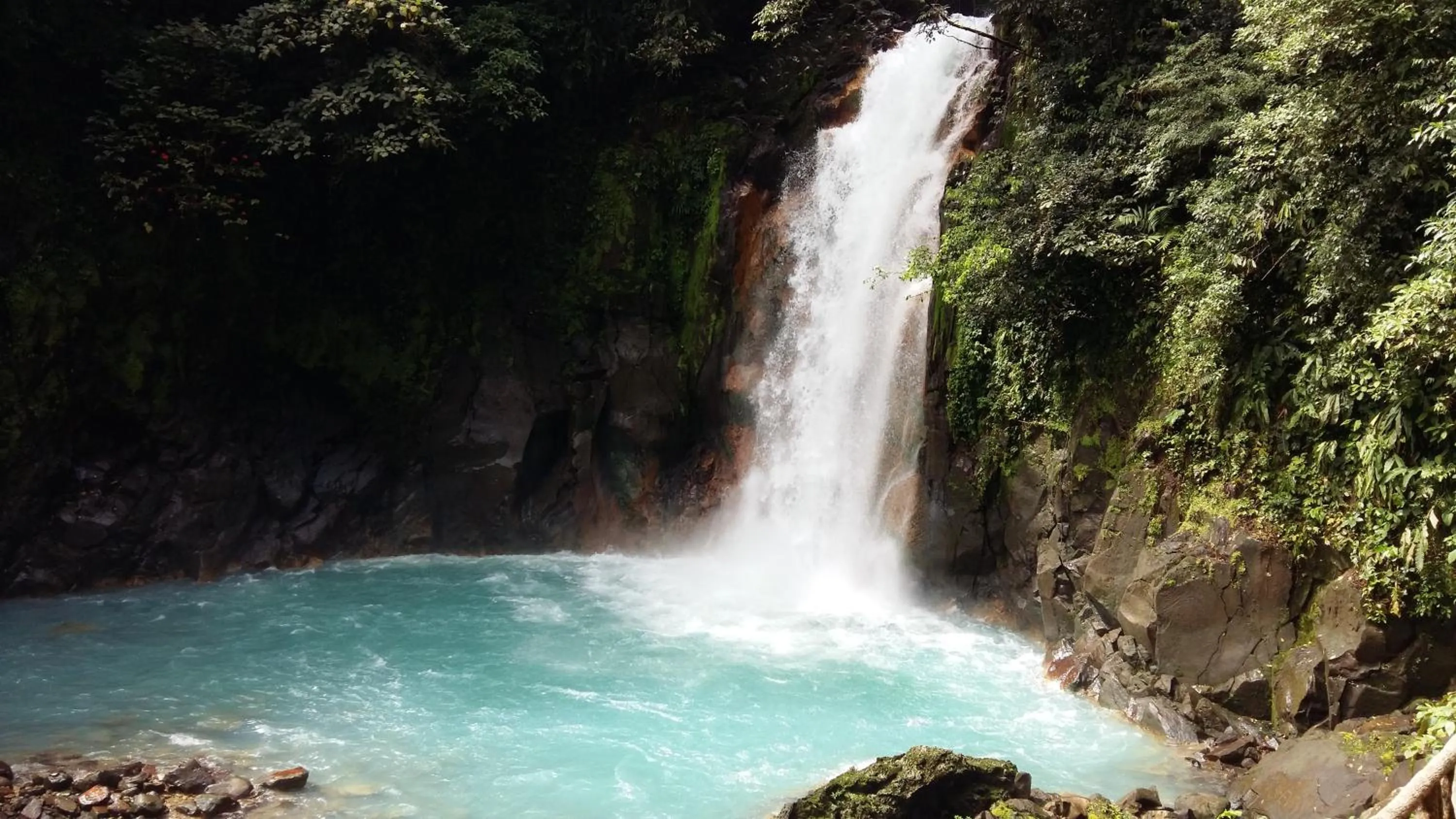 Natural landscape in Celeste Mountain Lodge
