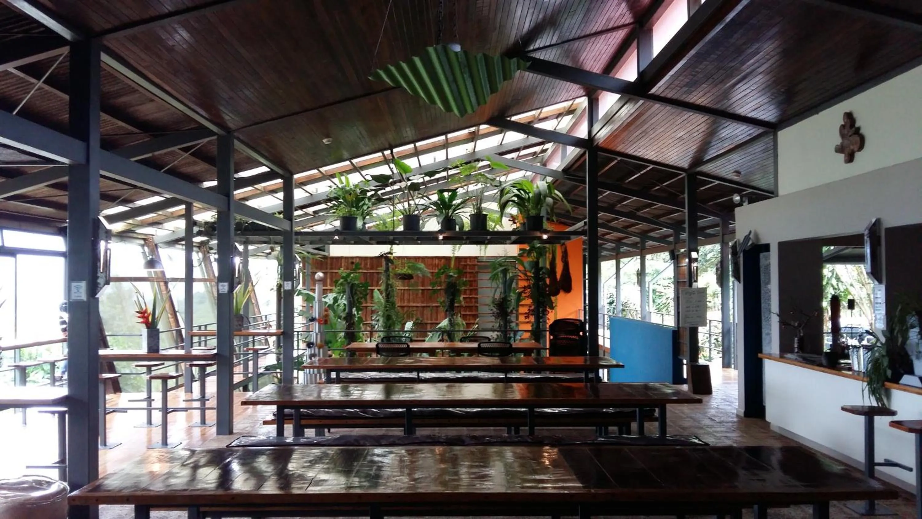 Day in Celeste Mountain Lodge