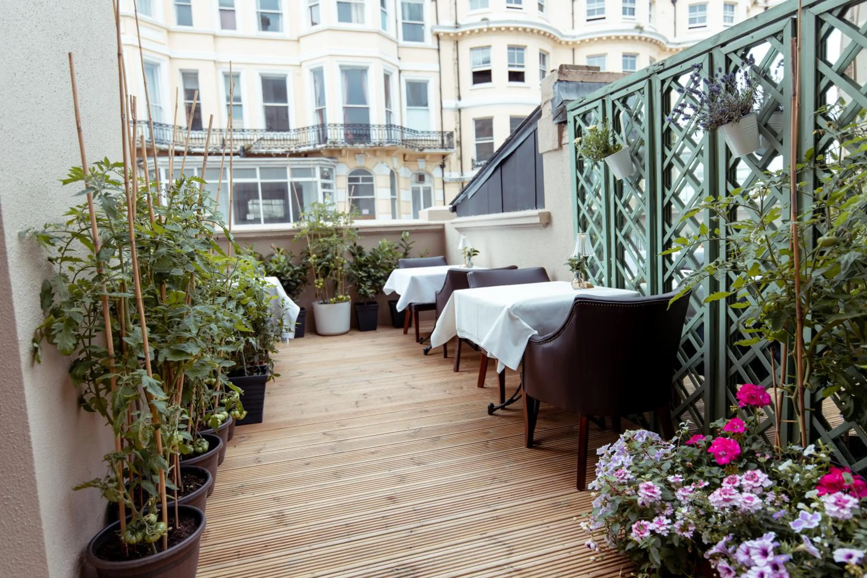 Restaurant/places to eat in The Chatsworth Hotel