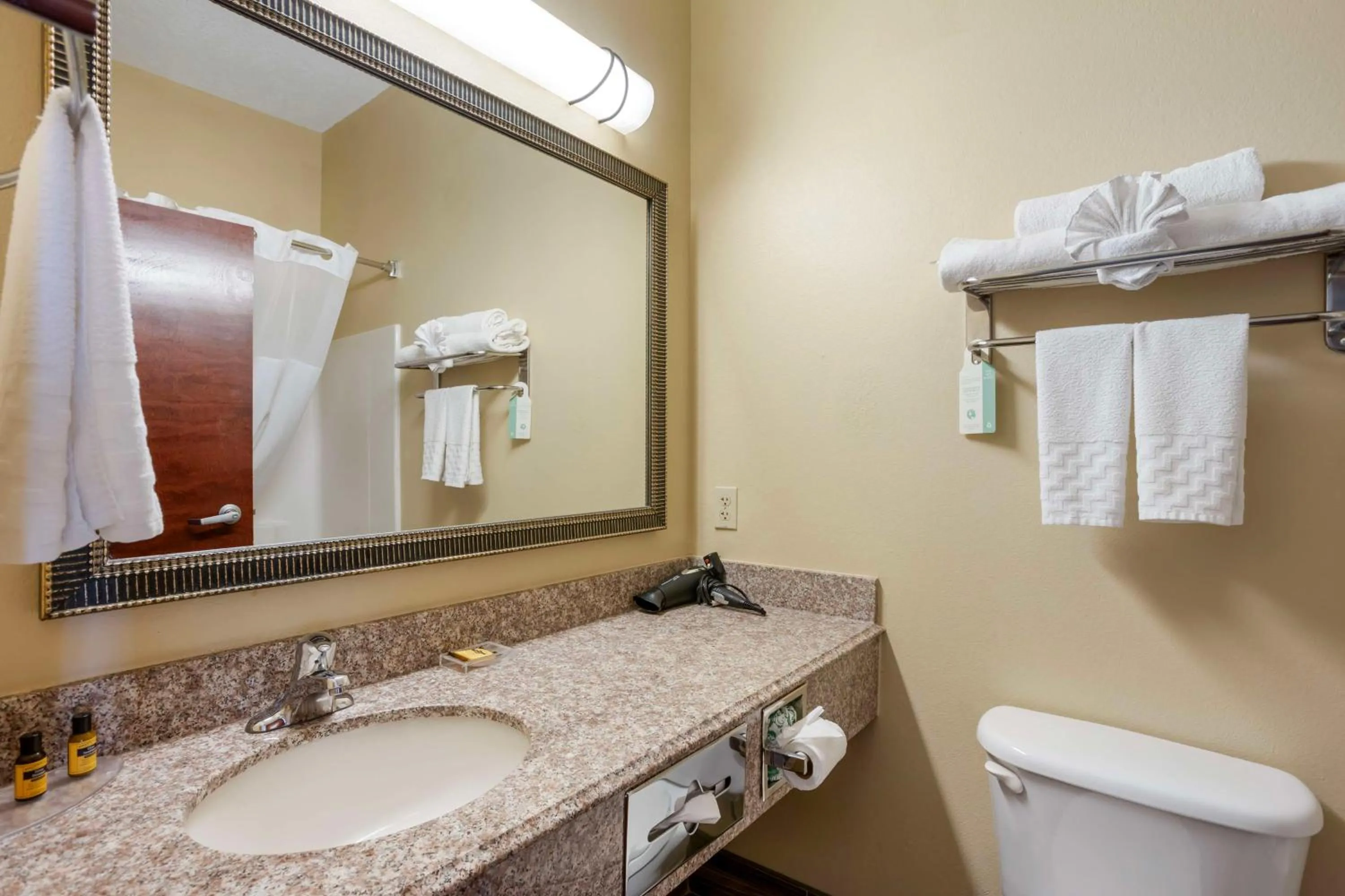 Bathroom in Best Western Plus Springfield Airport Inn