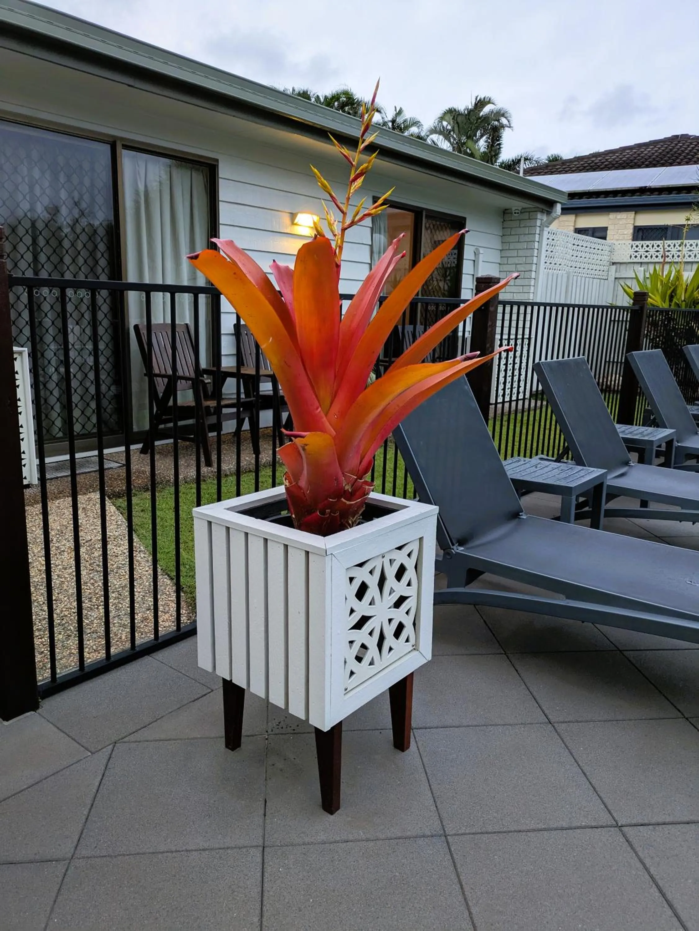 Swimming pool in Pacific Palms Motor Inn