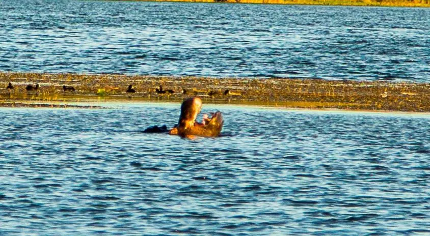 Off site in Asmorein Hotel