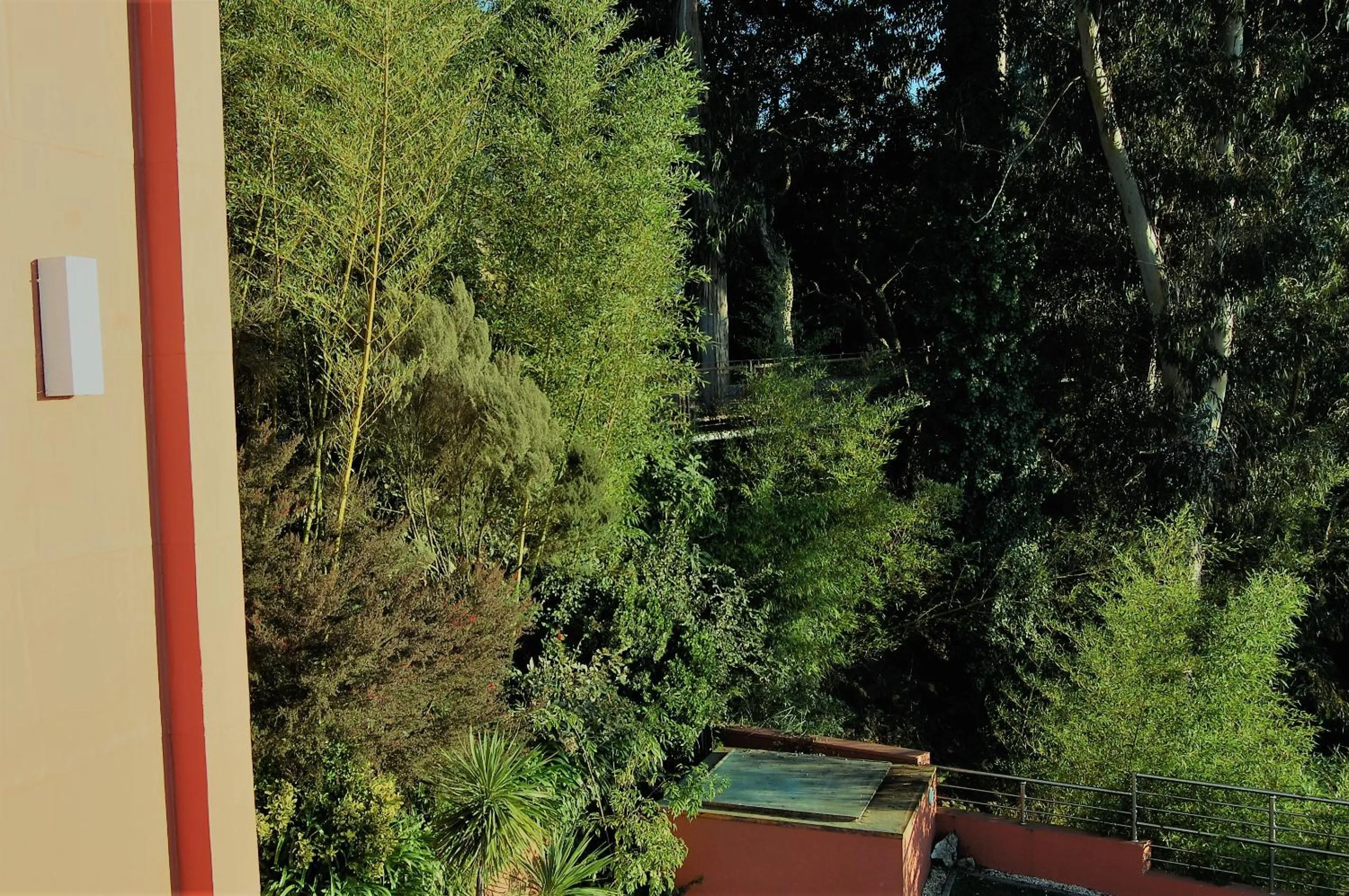 Natural landscape in Quinta do Louredo Hotel