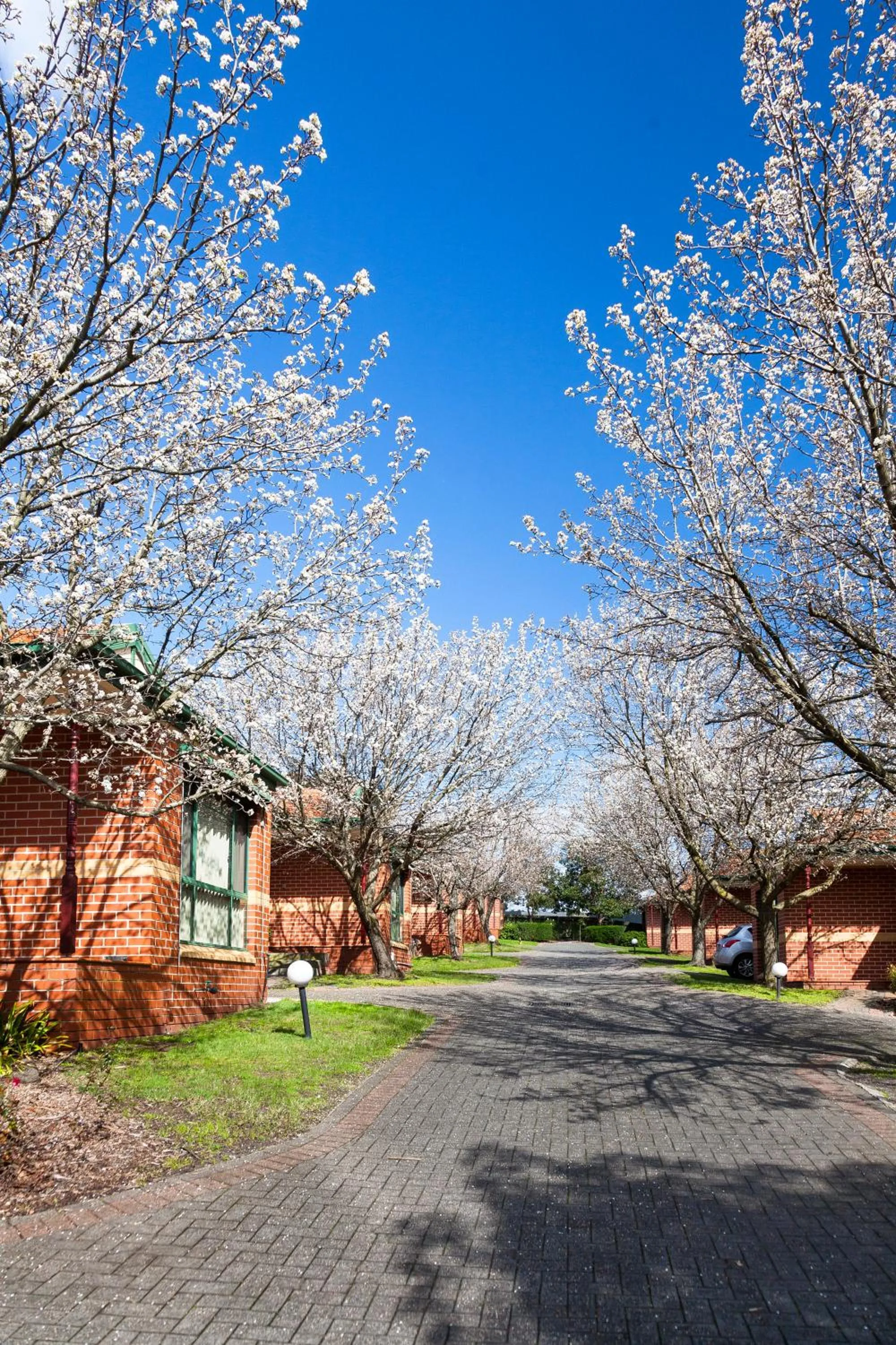 View (from property/room) in Mount Waverley Townhouses