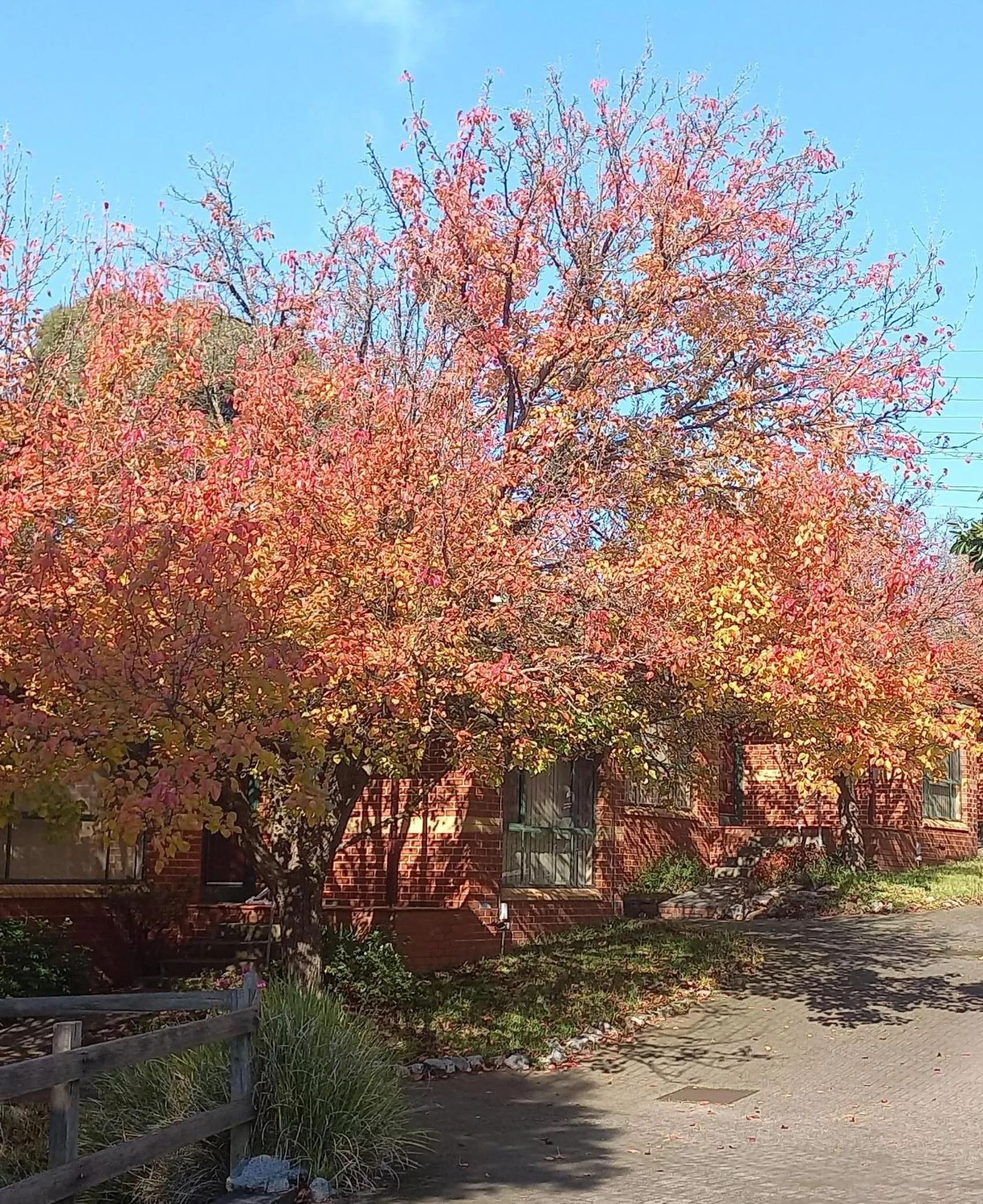 Mount Waverley Townhouses