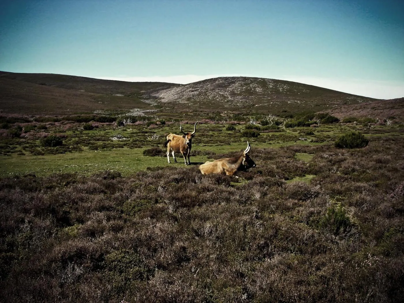 Natural landscape in Hotel Castrum Villae by Walk Hotels