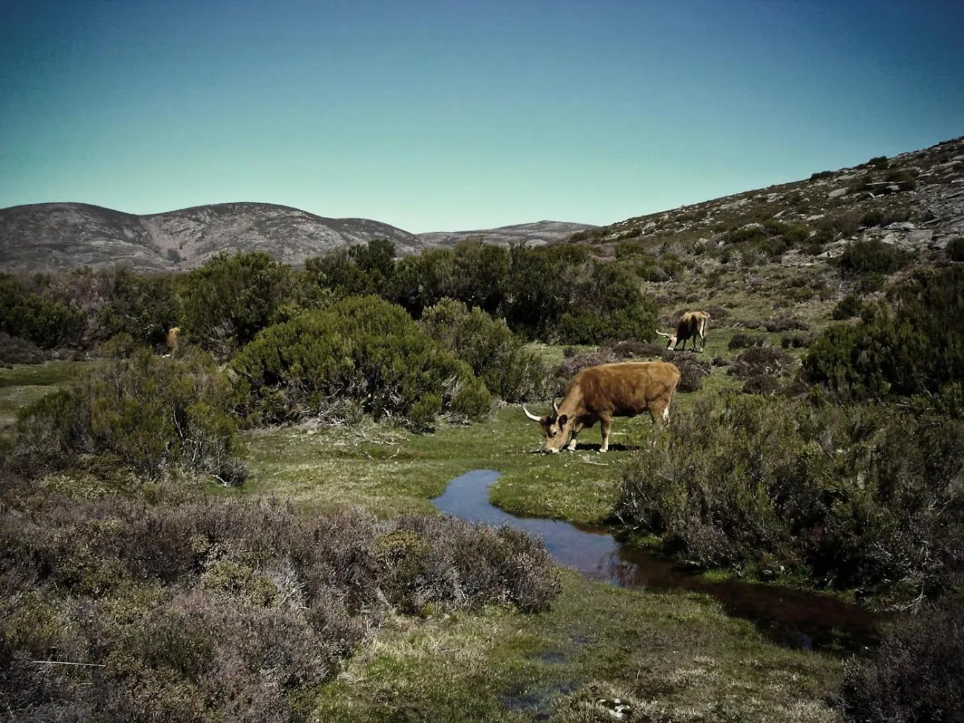 Natural landscape in Hotel Castrum Villae by Walk Hotels