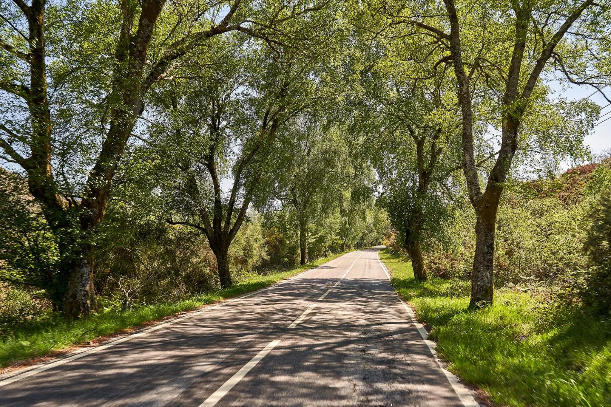 Quiet street view in Hotel Castrum Villae by Walk Hotels