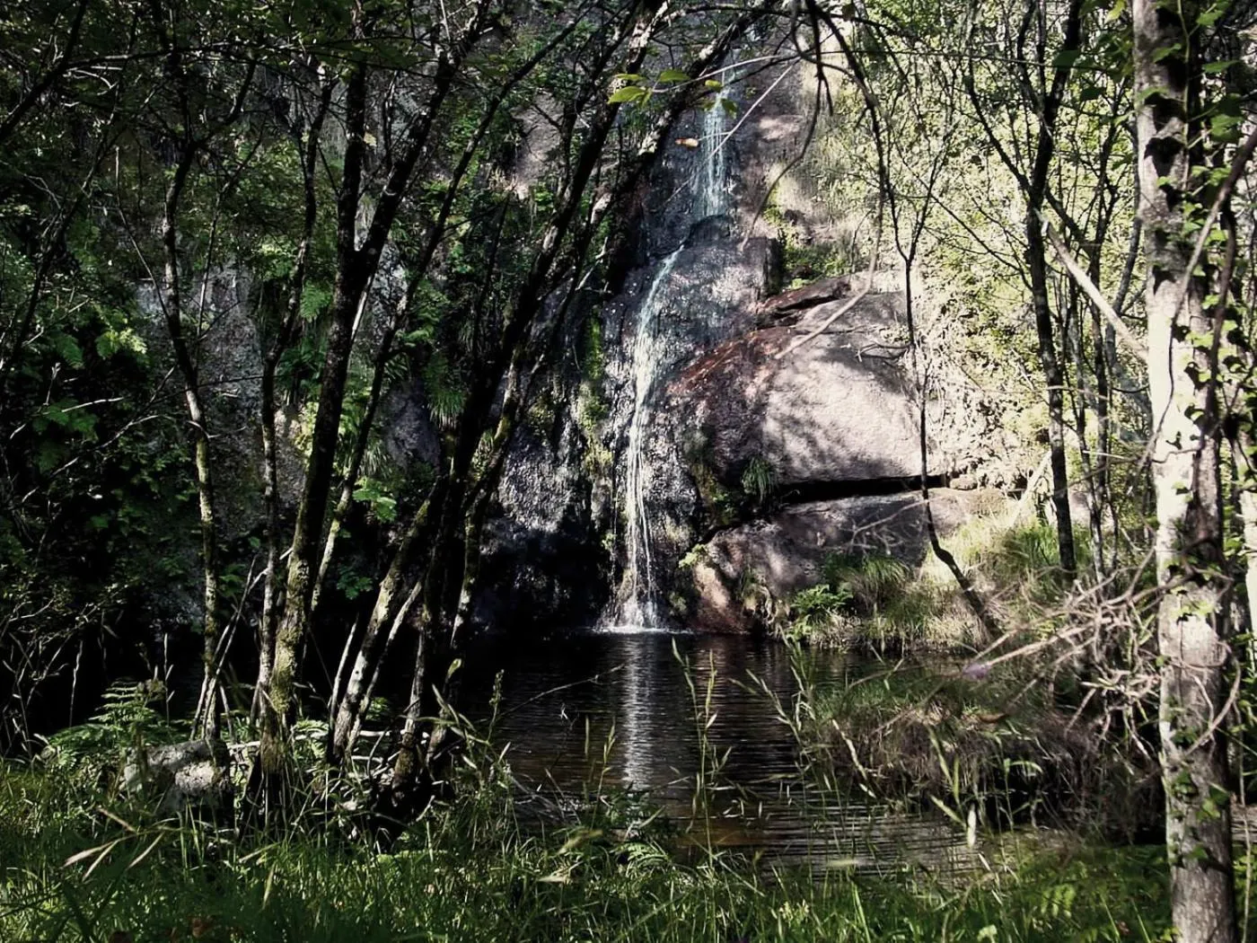 Natural landscape in Hotel Castrum Villae by Walk Hotels