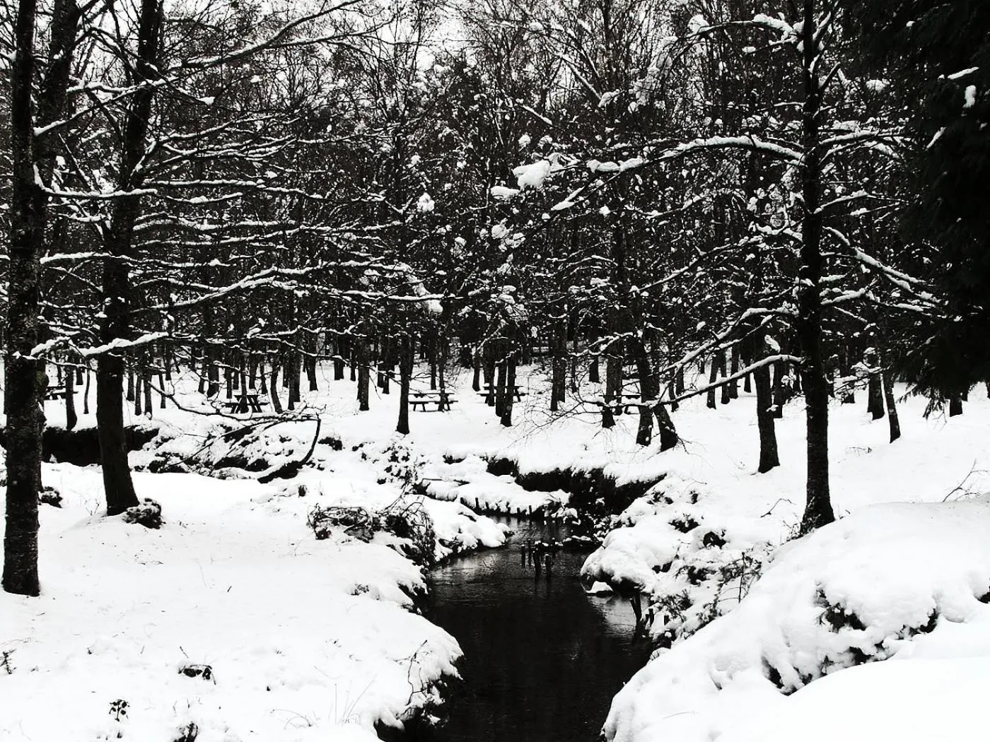 Natural landscape in Hotel Castrum Villae by Walk Hotels