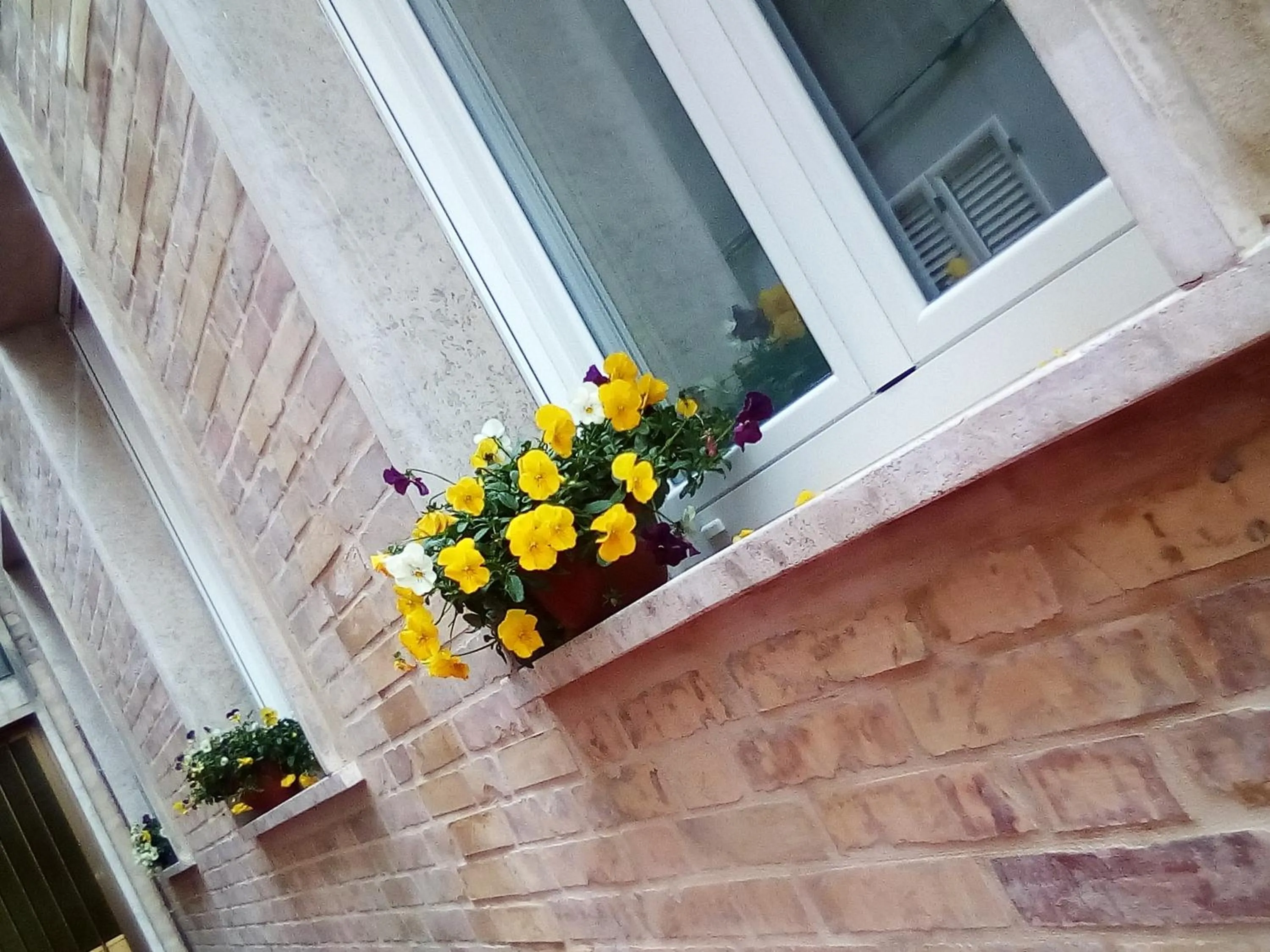 Officina Urban Sleep