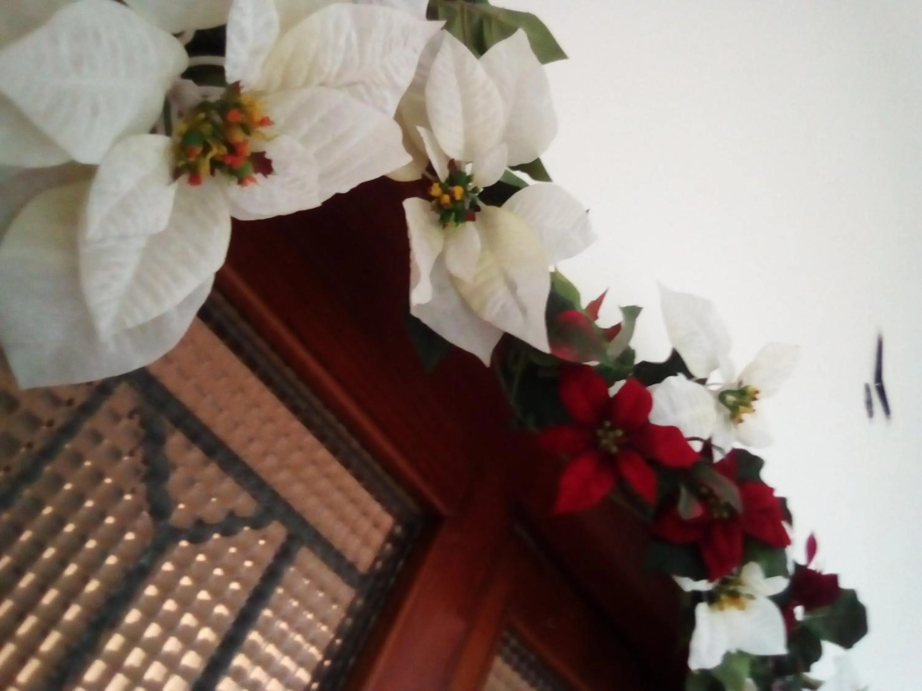 Officina Urban Sleep