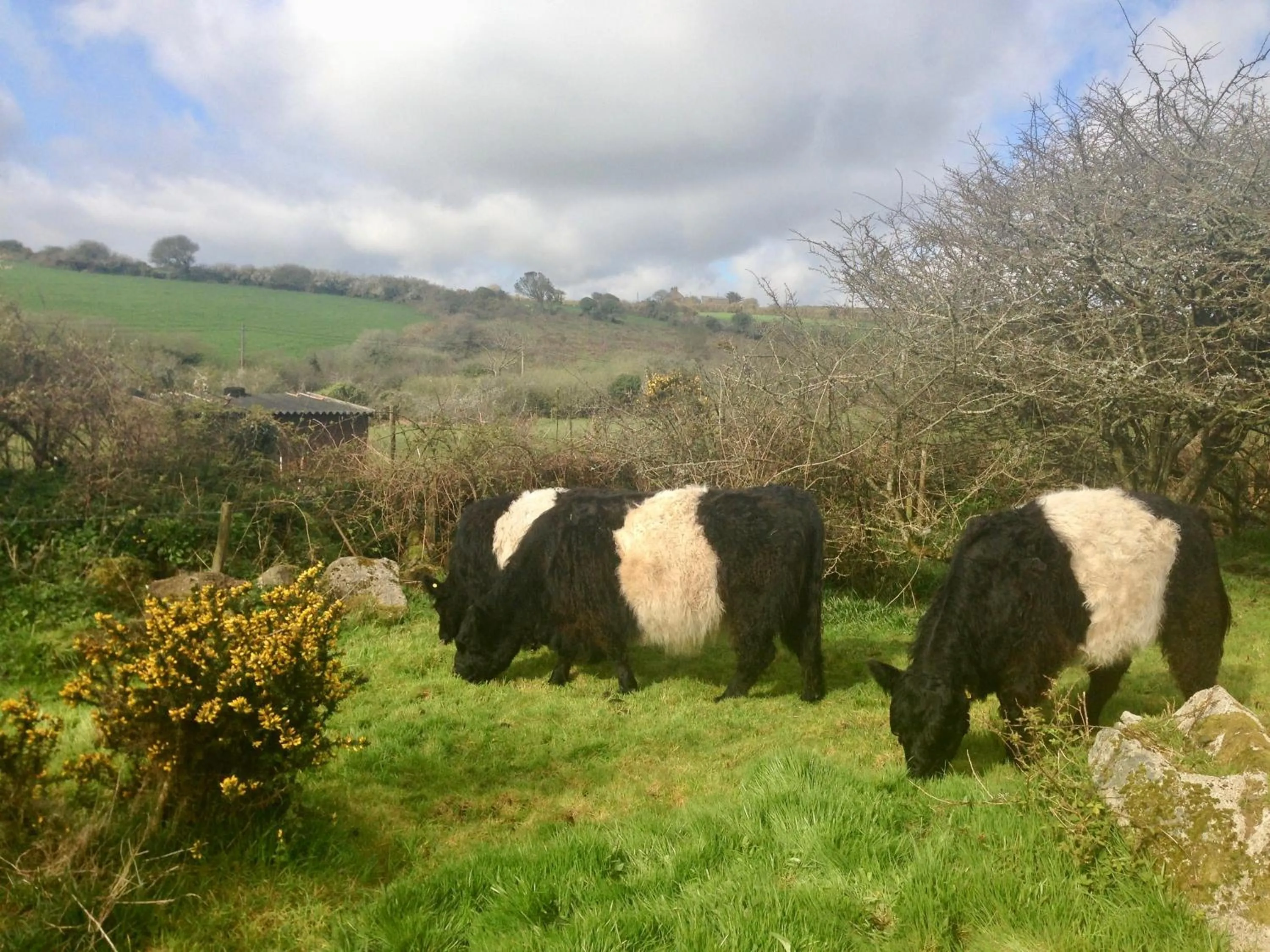 Property building in Lower Crankan Farm
