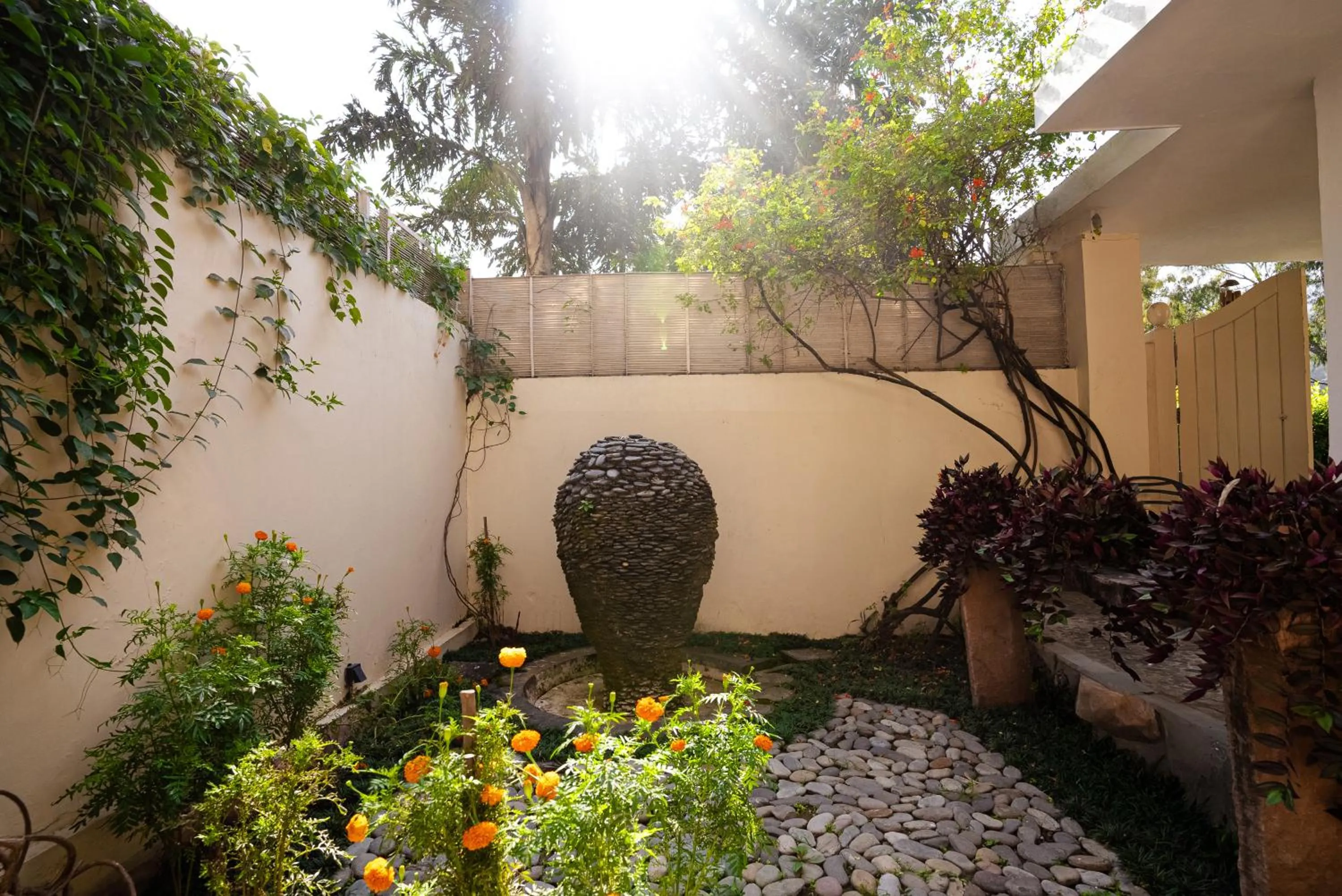 Garden in The Solluna Resort