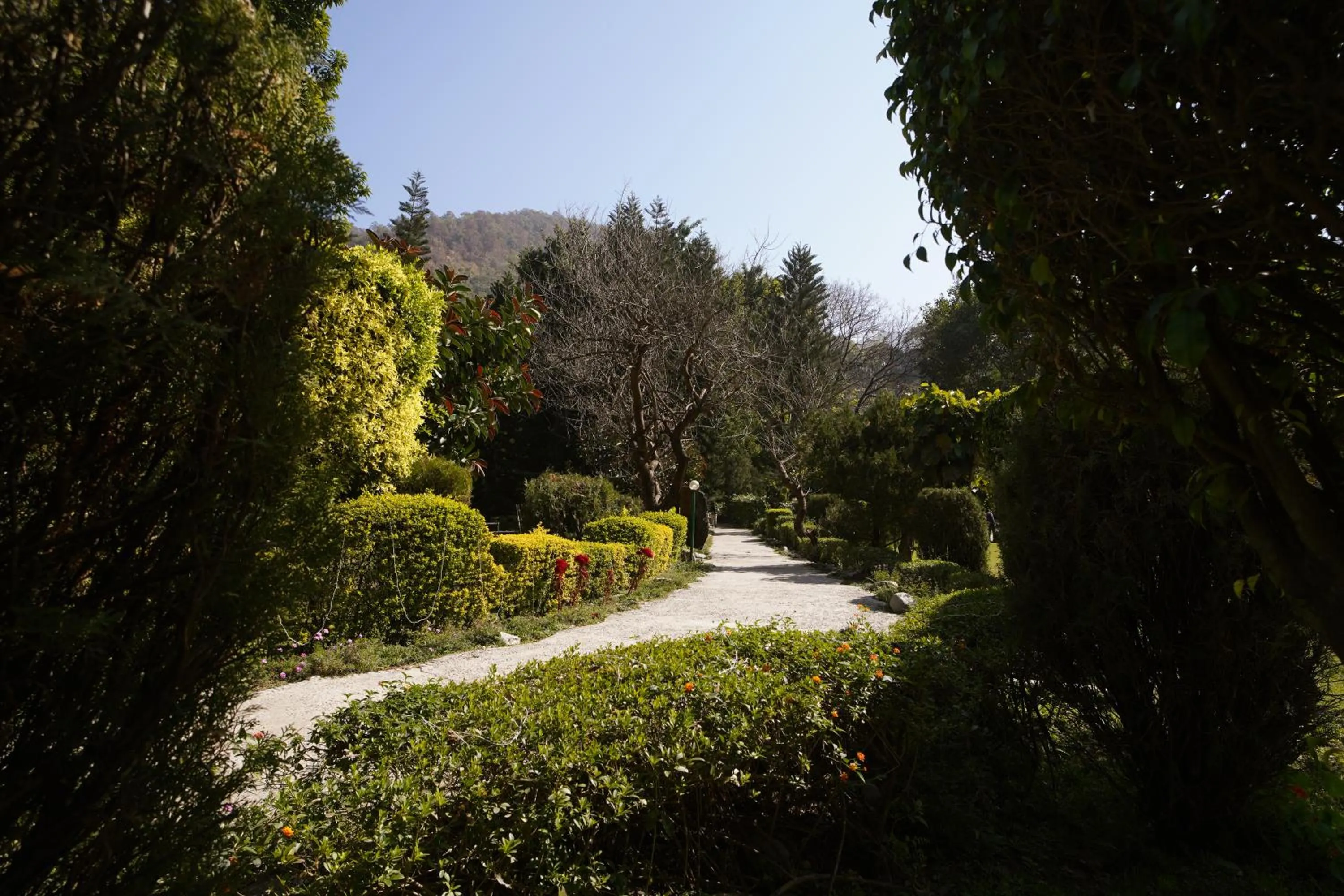 Natural landscape in The Solluna Resort