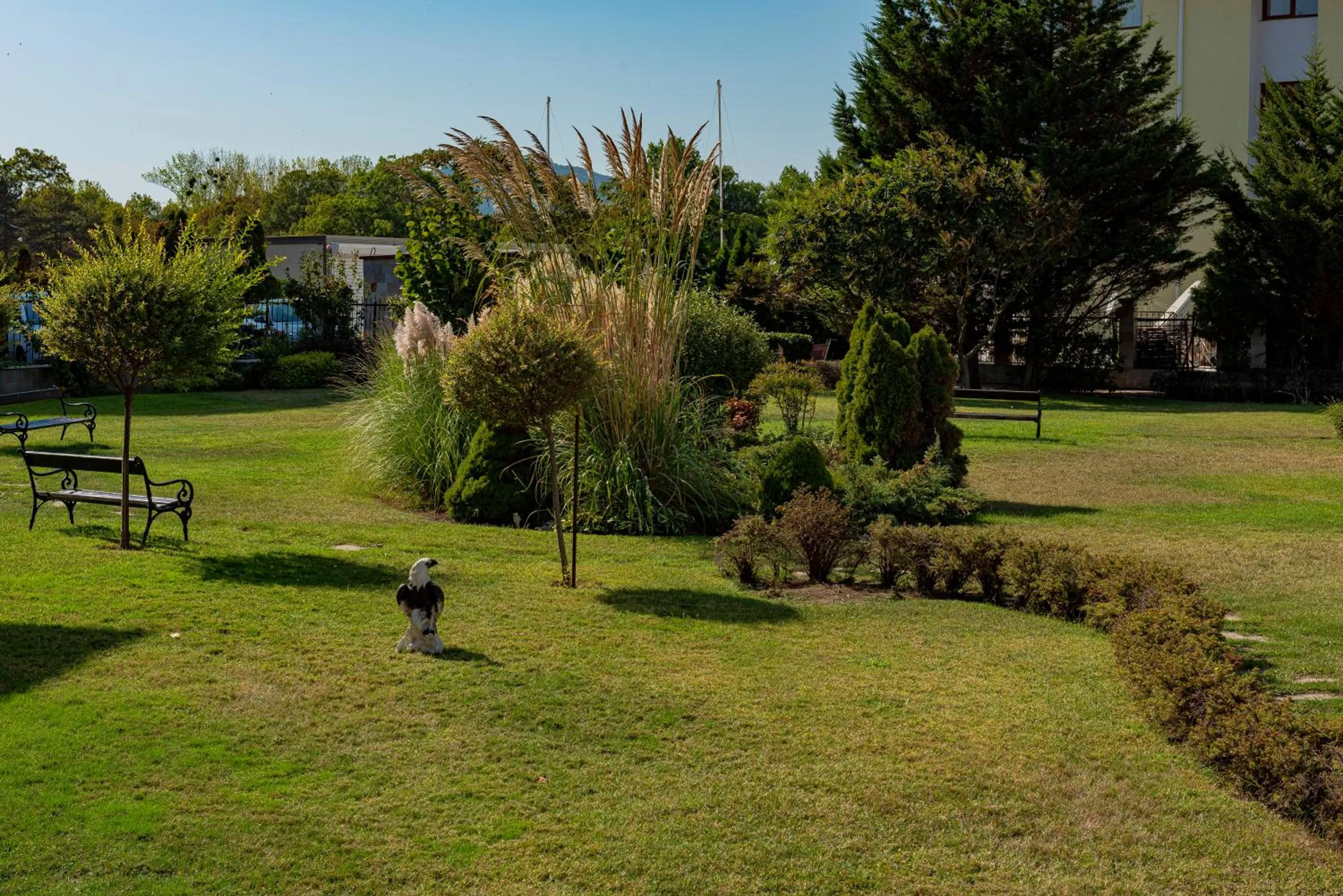 Garden in Menada Nestinarka Apartments