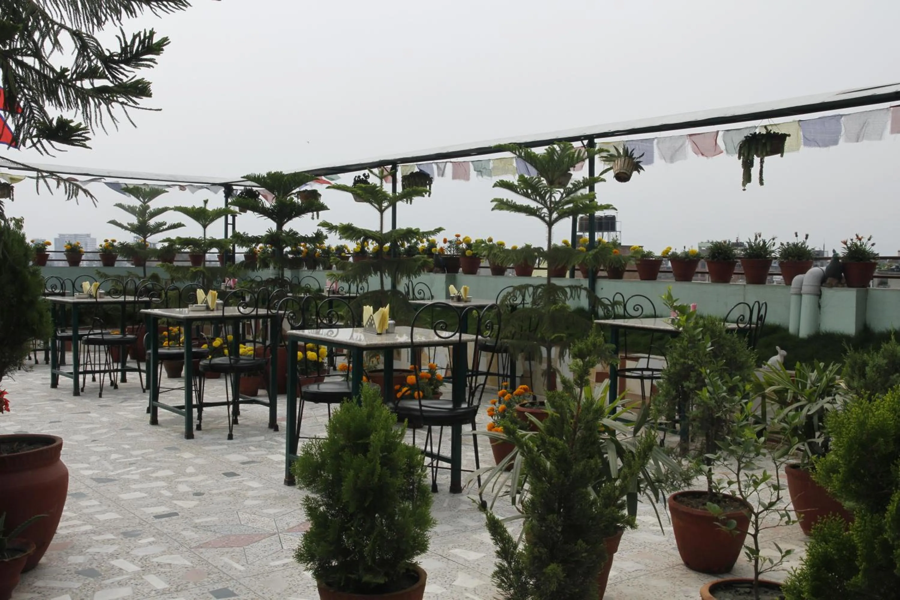 Restaurant/places to eat in Hotel Nepalaya