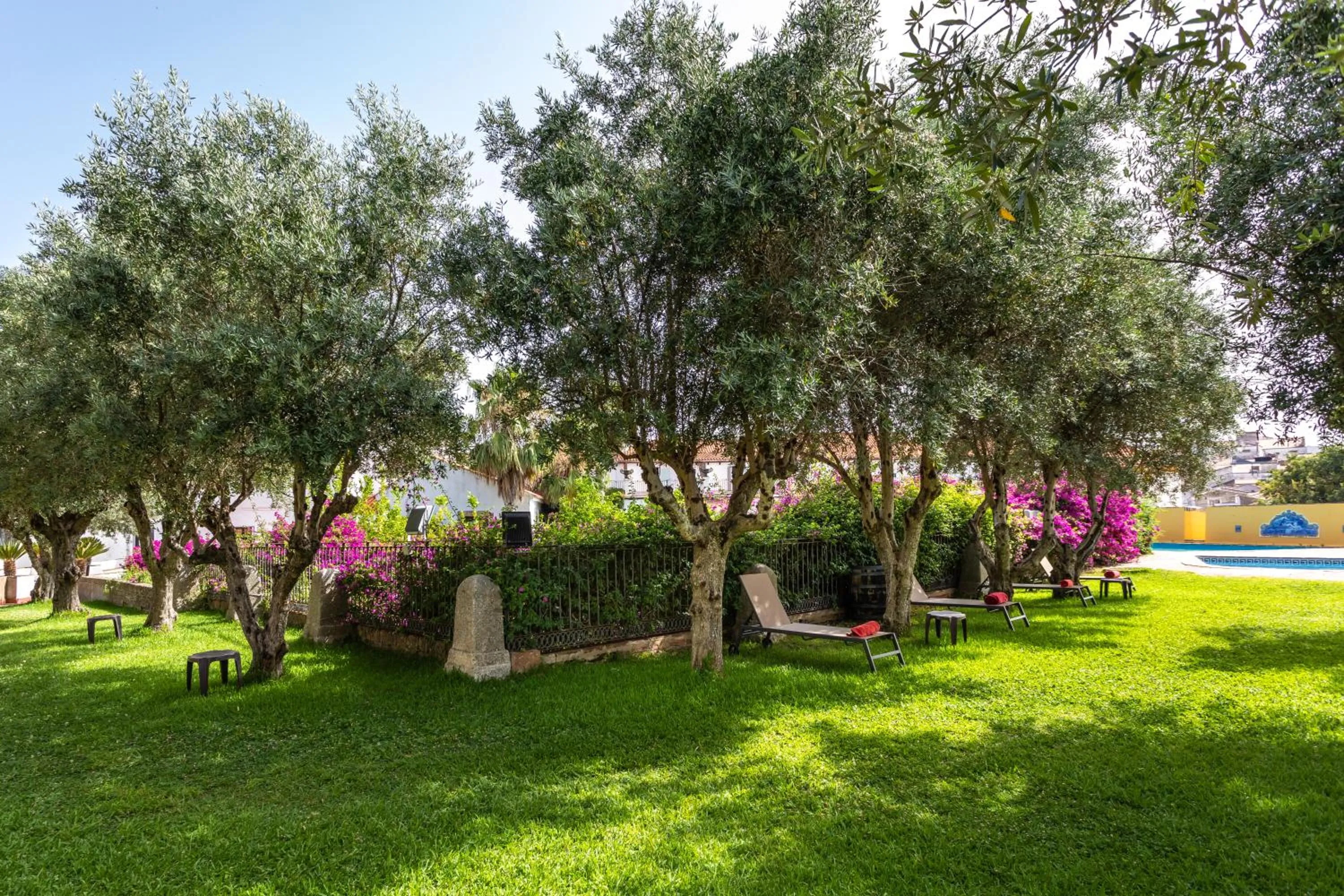 Garden in Hotel Sao Joao De Deus by RIDAN Hotels